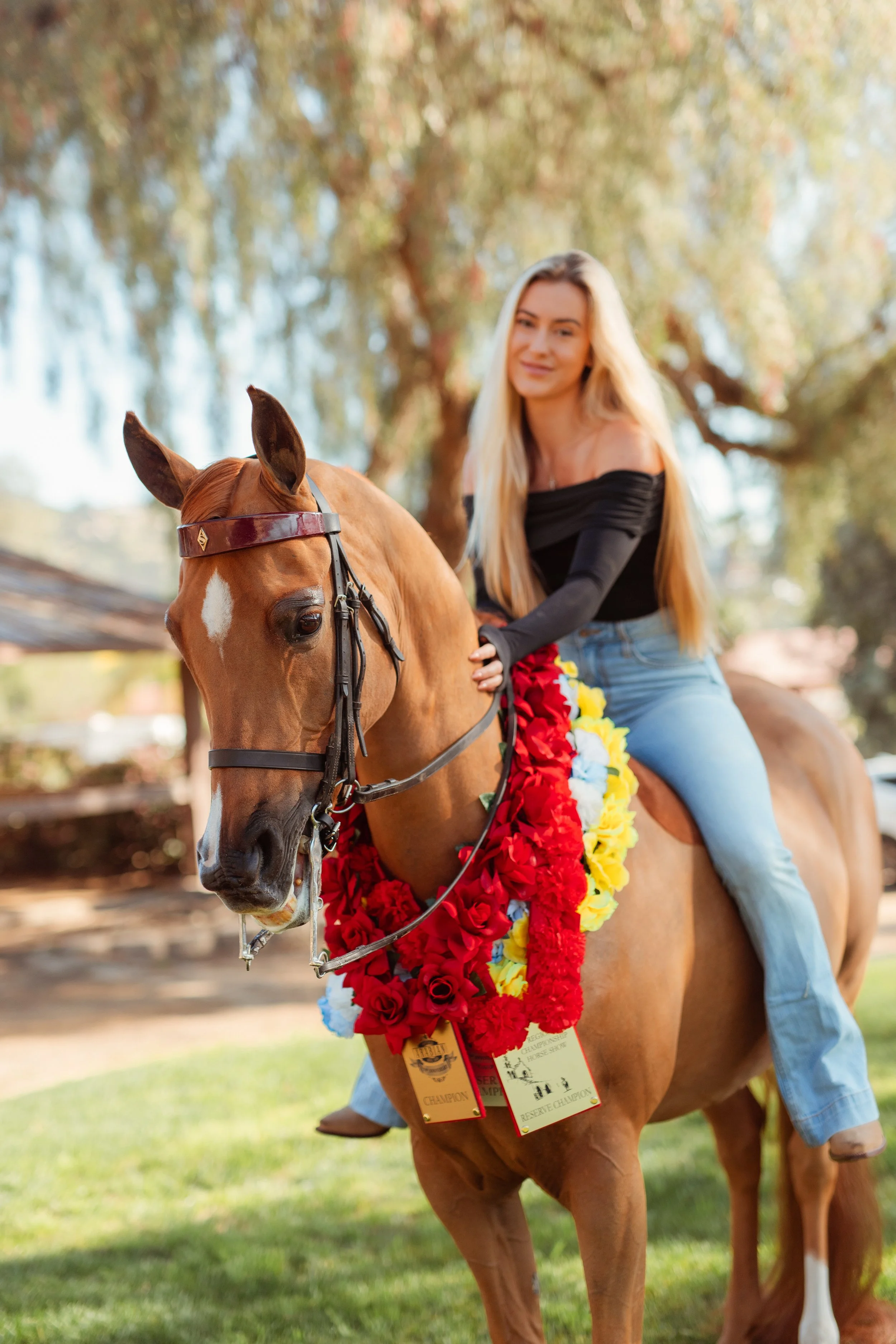 Young Newport Beach equestrian riding her horse in an outdoor arena in San Marcos, CA during a Southern California horse riding photoshoot. Horse riding aesthetic with movement, dust, and golden hour light. Equestrian lifestyle photography captured b