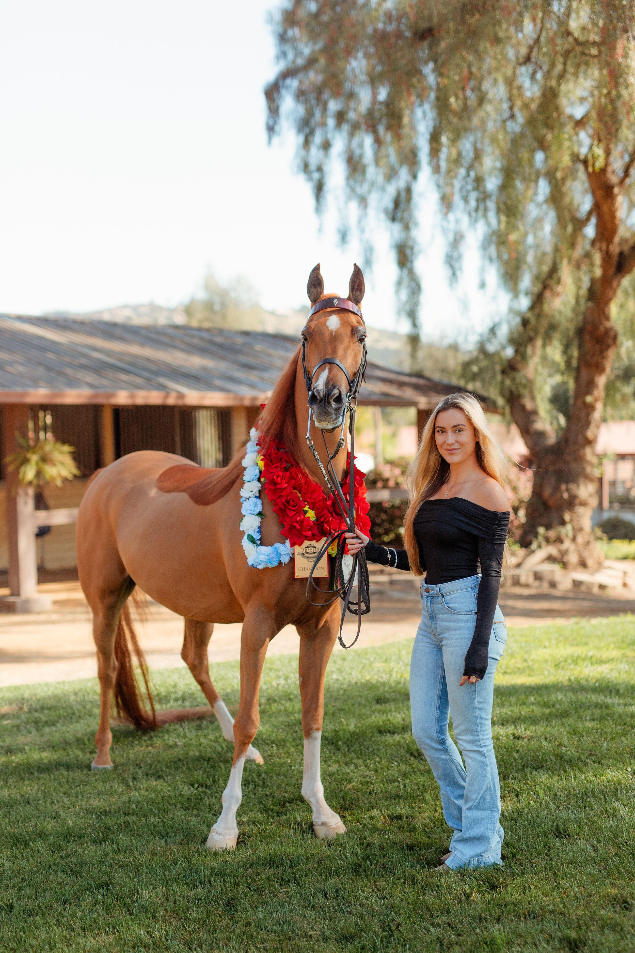Horse girl aesthetic portrait of a Newport Beach rider embracing her horse during an equestrian photoshoot in San Marcos, California. Soft, natural light highlighting equestrian life, horse love, and authentic connection. Horse photography by Souther