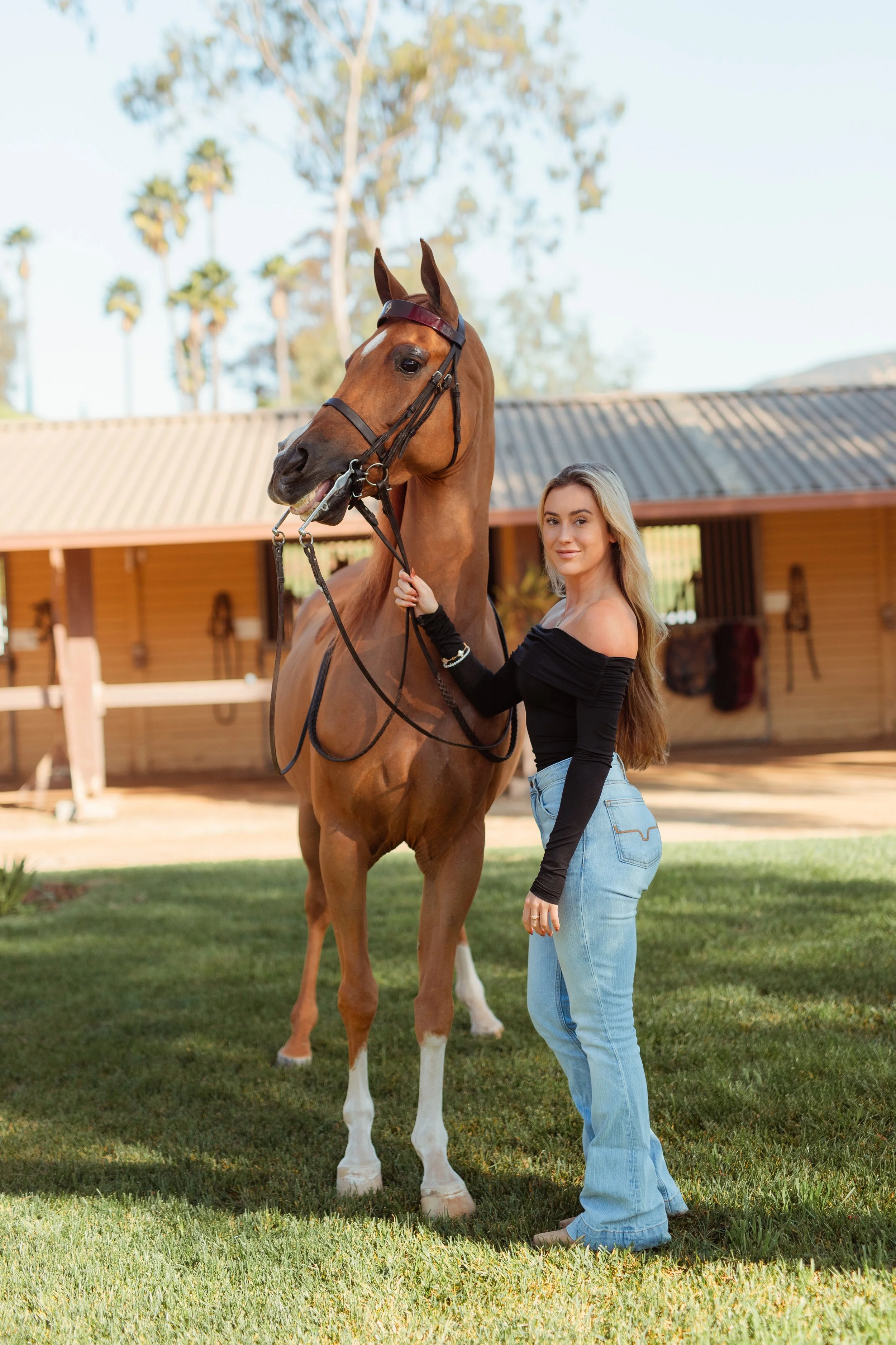 Horse girl aesthetic portrait of a Newport Beach rider embracing her horse during an equestrian photoshoot in San Marcos, California. Soft, natural light highlighting equestrian life, horse love, and authentic connection. Horse photography by Souther