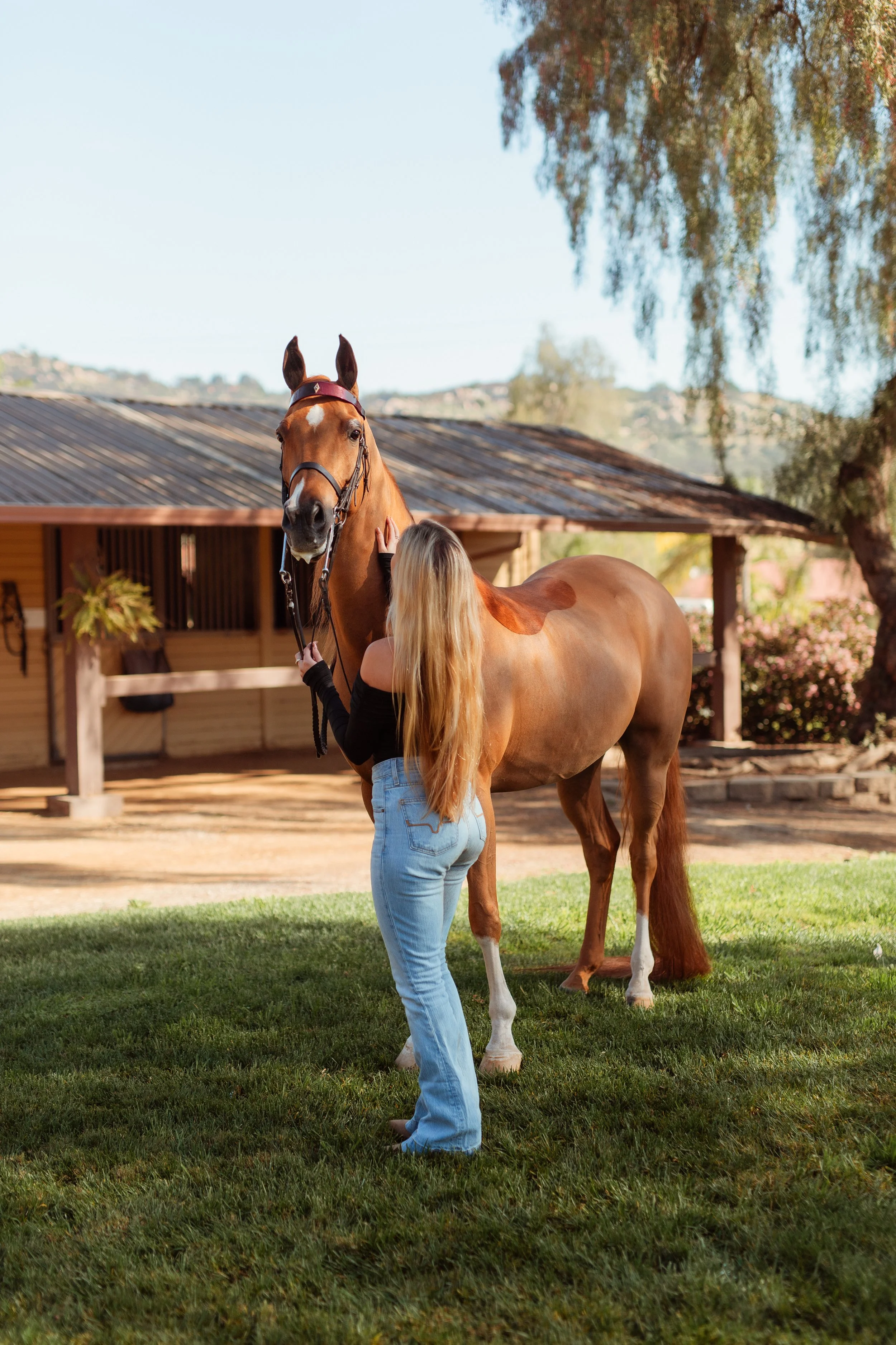 Southern California horse riding aesthetic photoshoot in San Marcos featuring a Newport Beach equestrian girl and her horse against open hills and arena backdrop. Equestrian lifestyle photography capturing movement, freedom, and horse girl style by S
