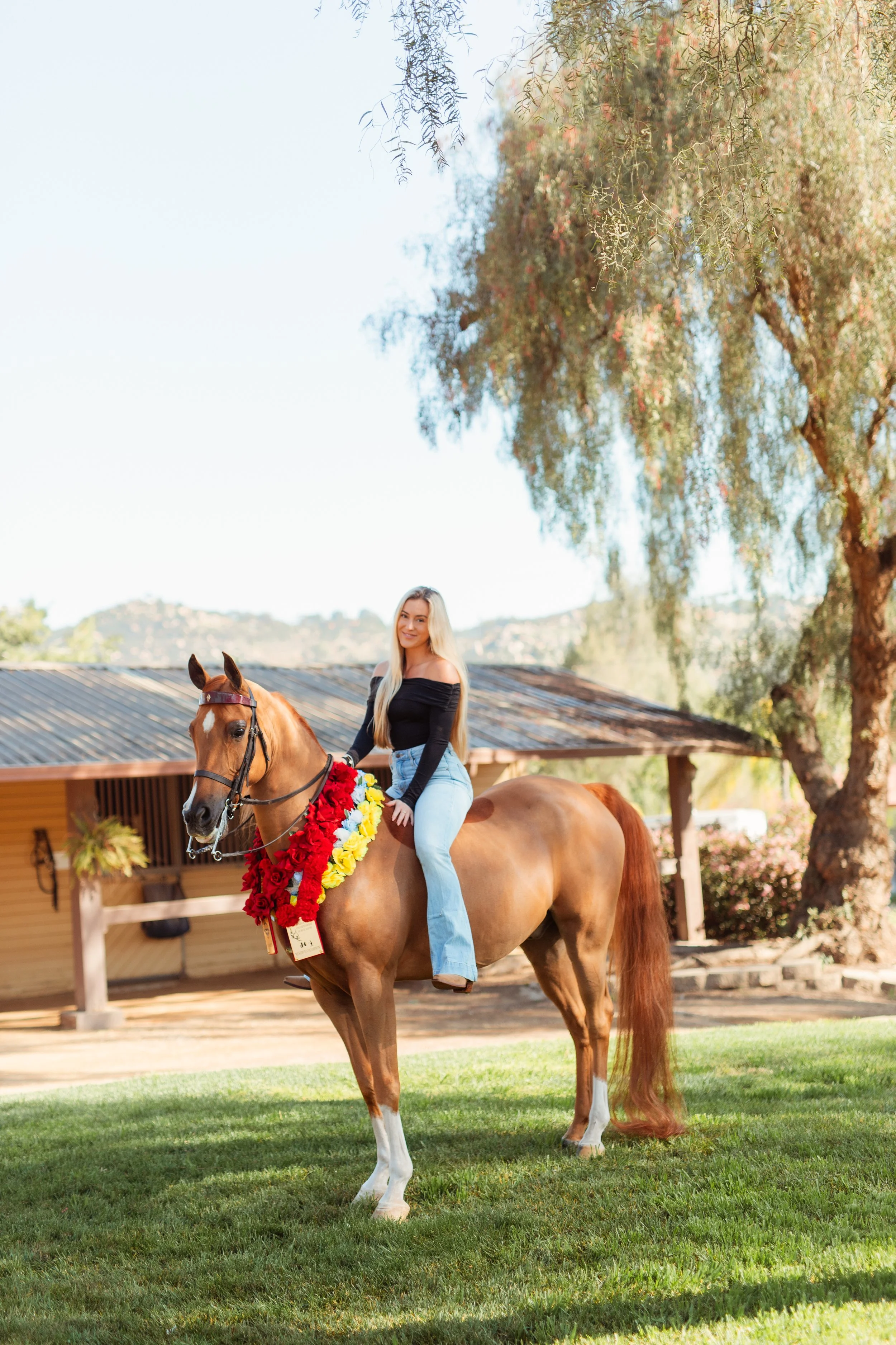 Young Newport Beach equestrian riding her horse in an outdoor arena in San Marcos, CA during a Southern California horse riding photoshoot. Horse riding aesthetic with movement, dust, and golden hour light. Equestrian lifestyle photography captured b