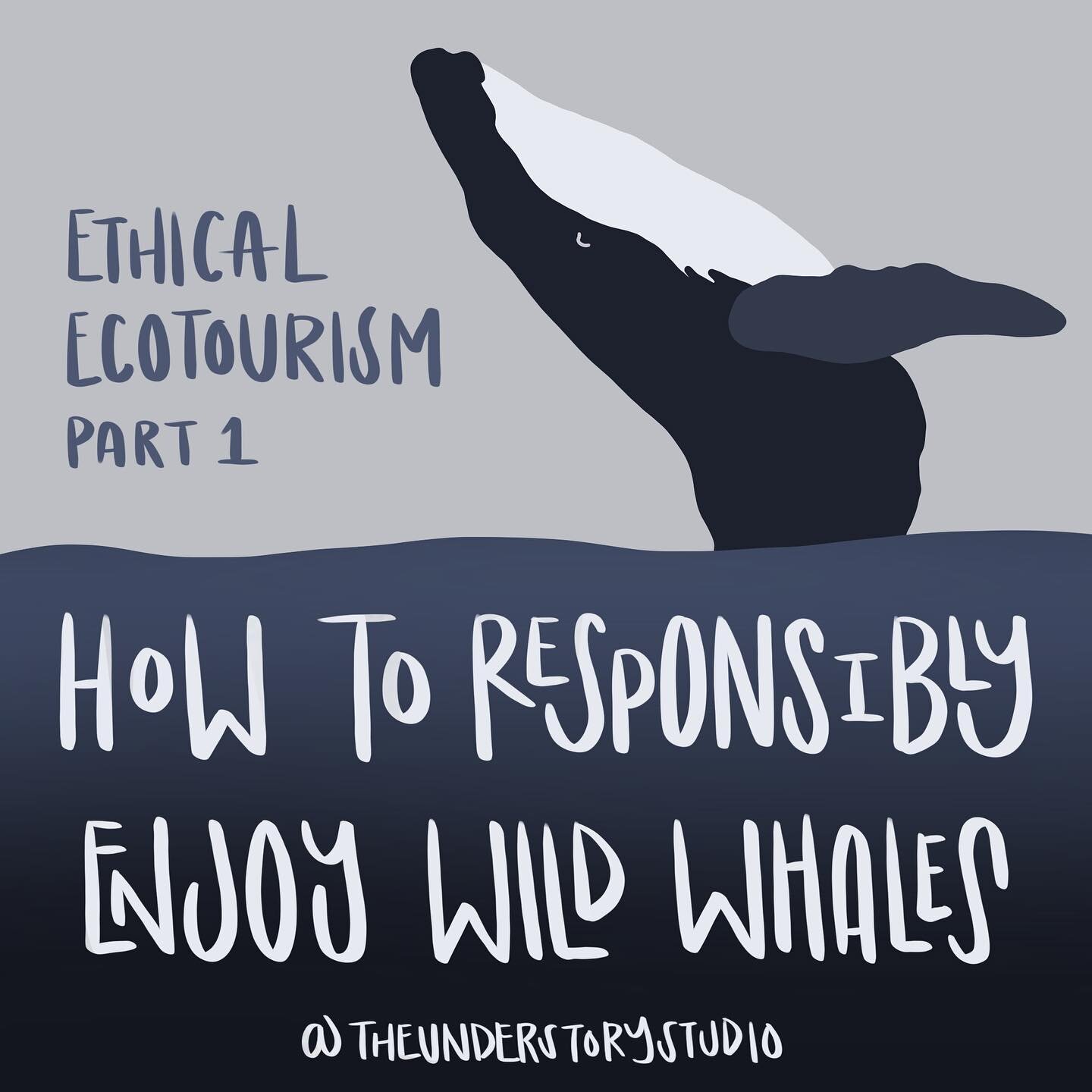 Ecotourism can be an engaging, exciting way to experience nature. But how do we know we are recreating ethically with conservation as a priority? That&rsquo;s what this series is all about, and we&rsquo;re kicking off part 1 with whale watching! 

Wh