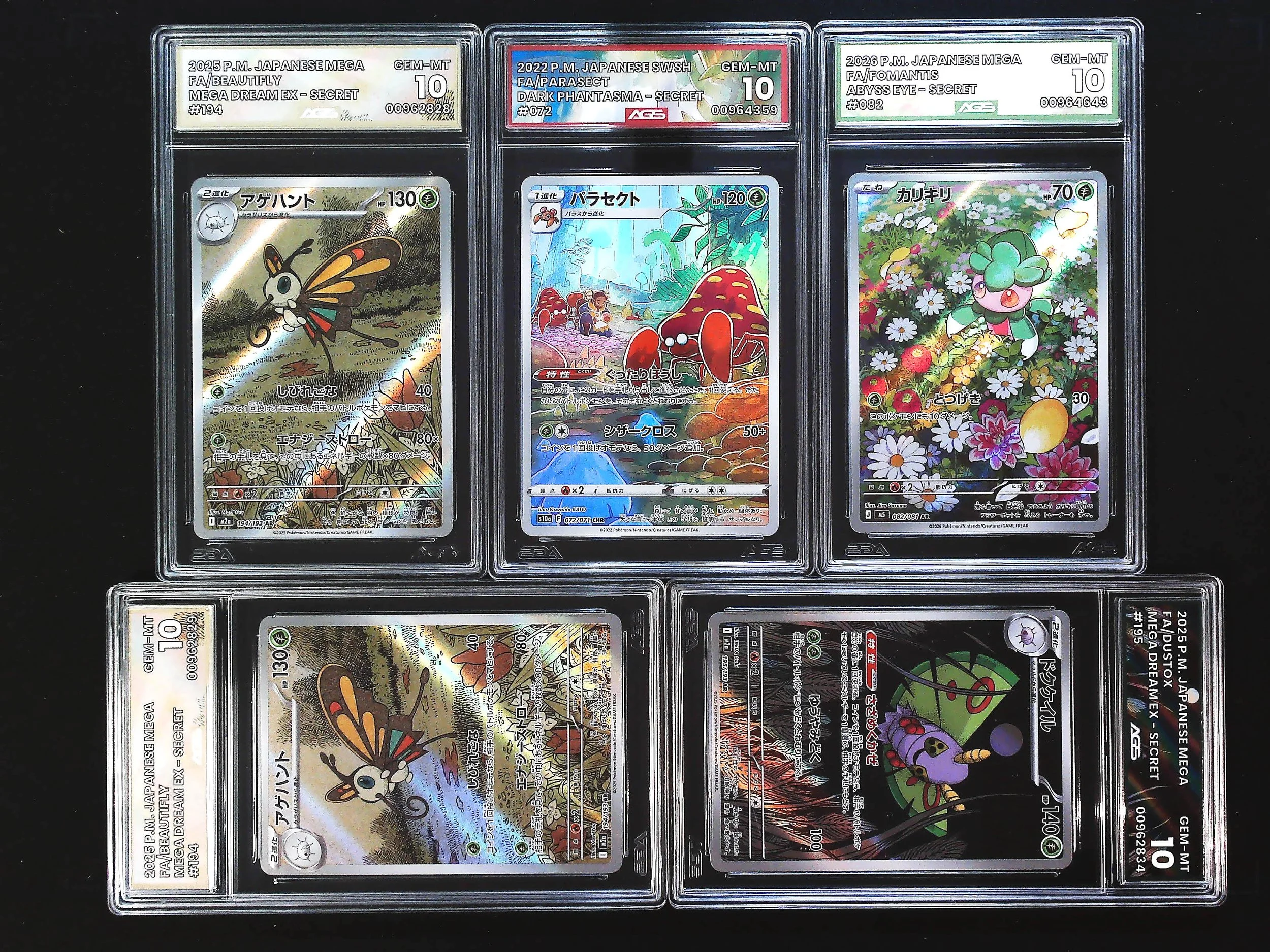 2026-08-19_12332856.jpg