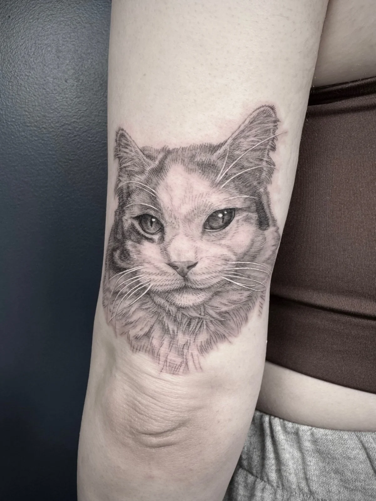 Fine line and black and grey pet portrait tattoo of a cat with light coloration, created by Seattle tattoo artist Eli Bischof.