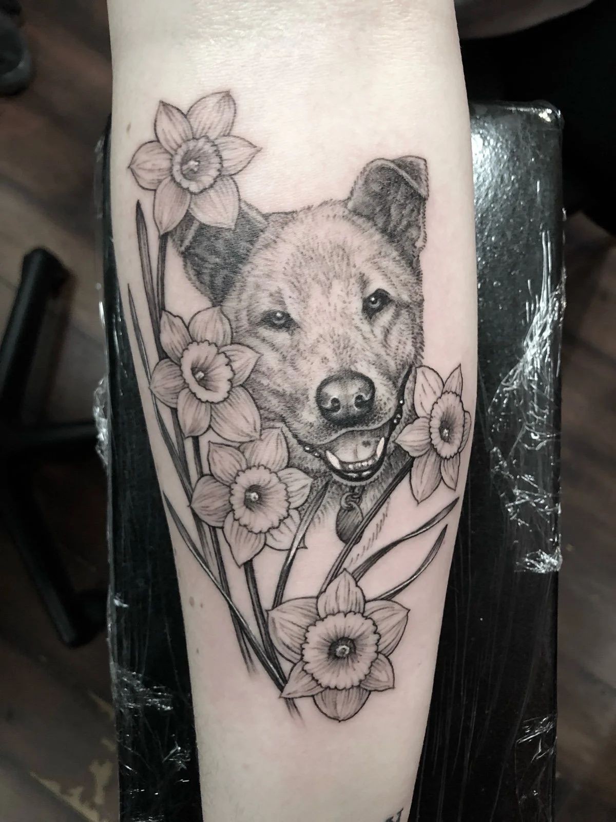 Fine line and black and grey pet portrait tattoo of a dog surrounded by daffodils, created by Seattle tattoo artist Eli Bischof.
