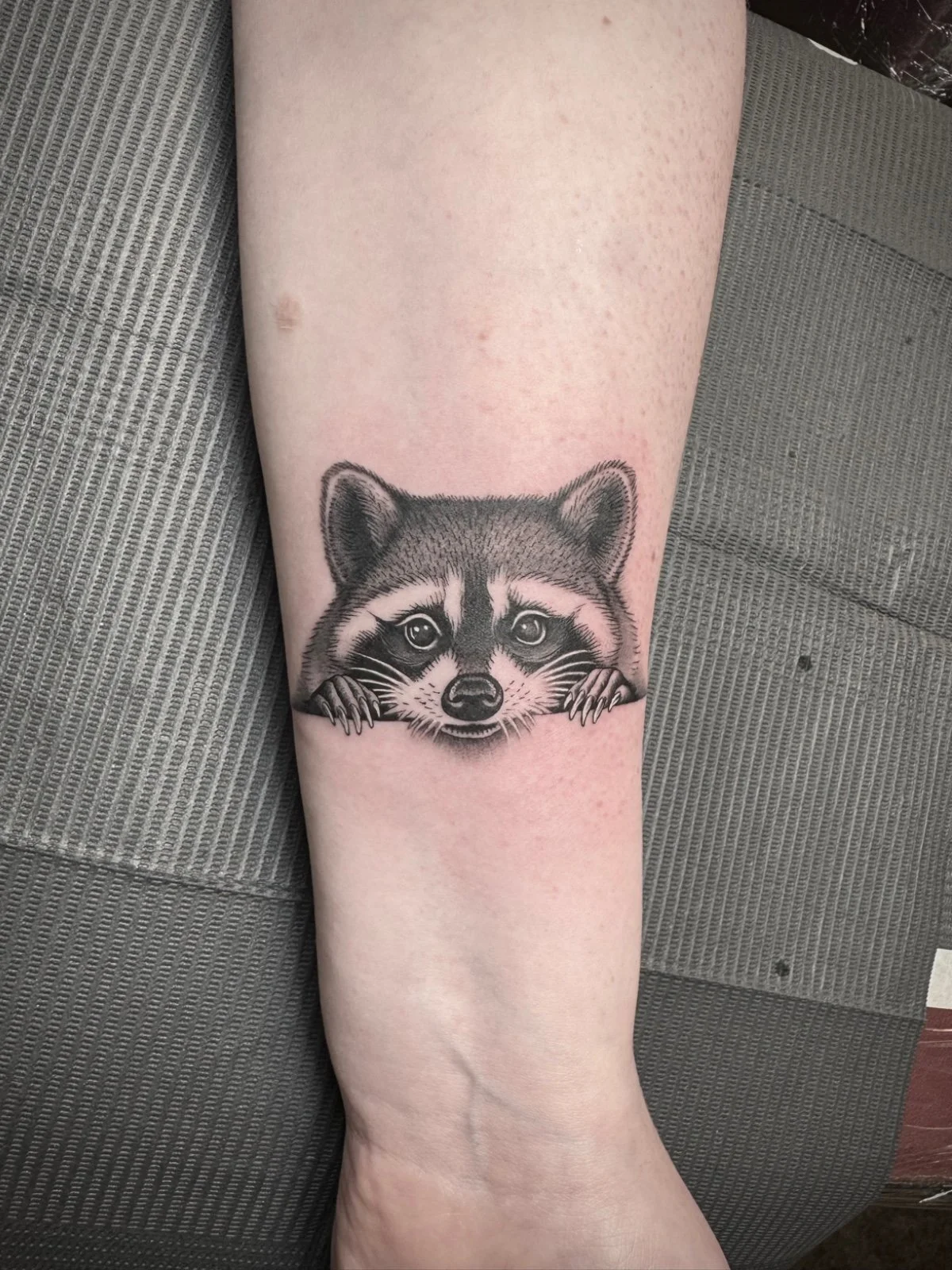 A fine line black and grey illustrative tattoo of a raccoon peeking over a ledge, created by Seattle tattoo artist Eli Bischof.