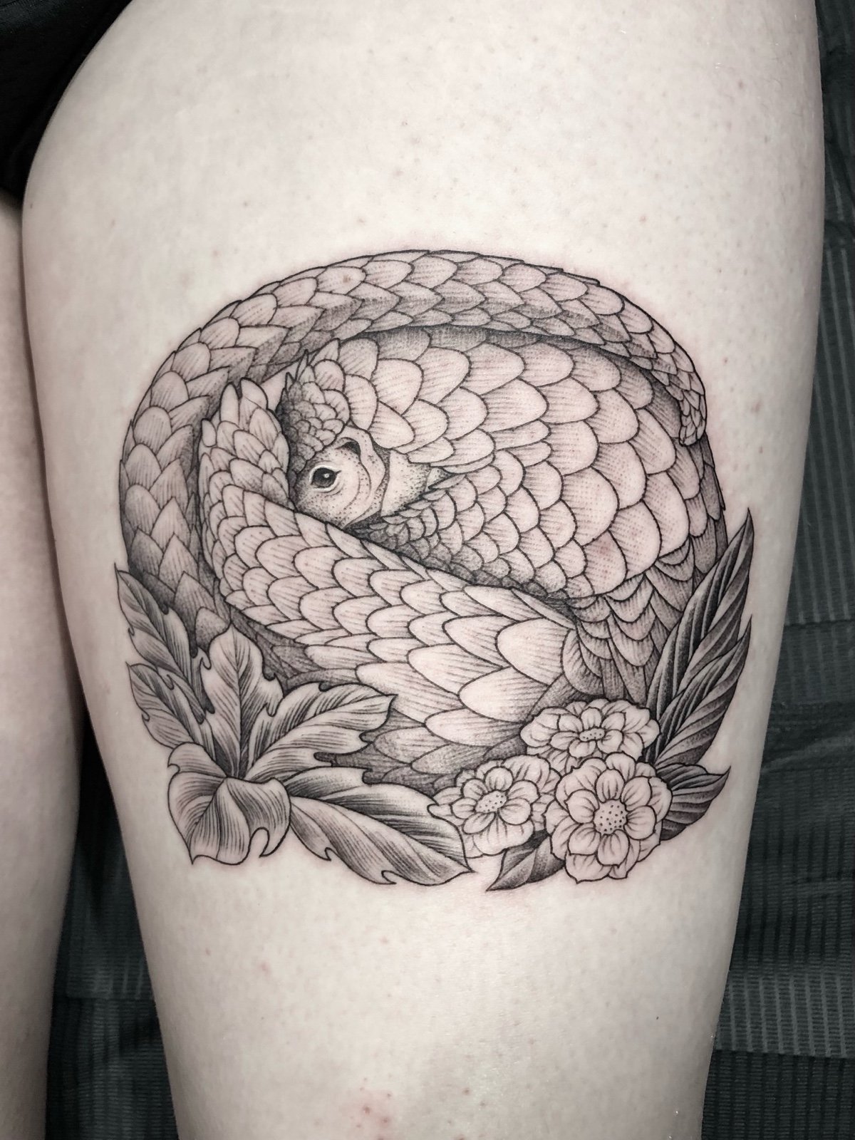 A fine line black and grey tattoo of a pangolin curled in a ball with leaves and flowers, created by Seattle tattoo artist Eli Bischof.