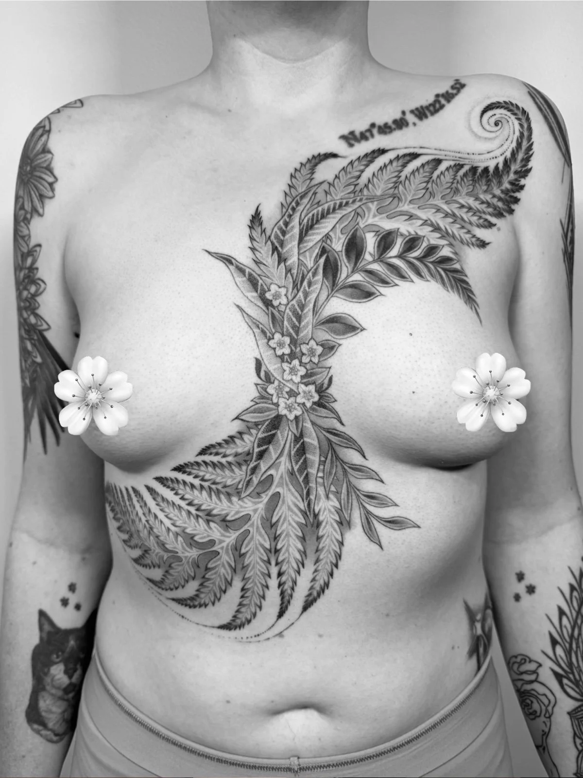 black-grey-ferns-botanical-tattoo.JPG
