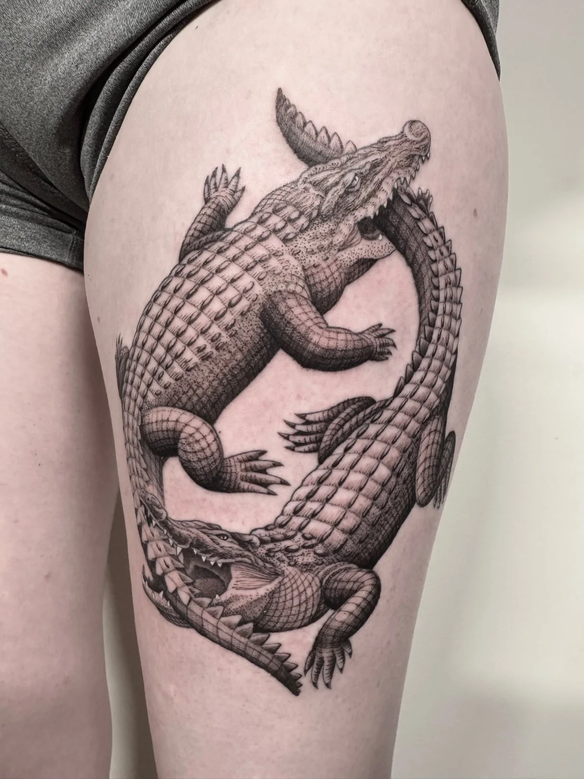 A fine line black and grey illustrative tattoo of two alligators biting each other's tails, created by Seattle tattoo artist Eli Bischof.