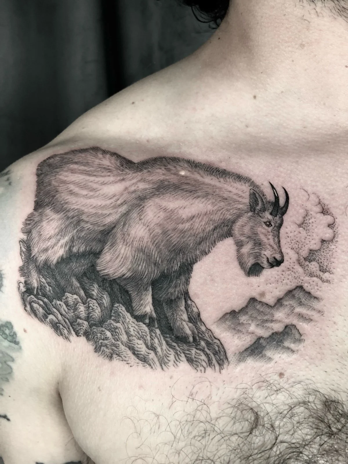 A fine line black and grey chest tattoo of a mountain goat perched on rocks and overlooking mountains, created by Seattle tattoo artist Eli Bischof.