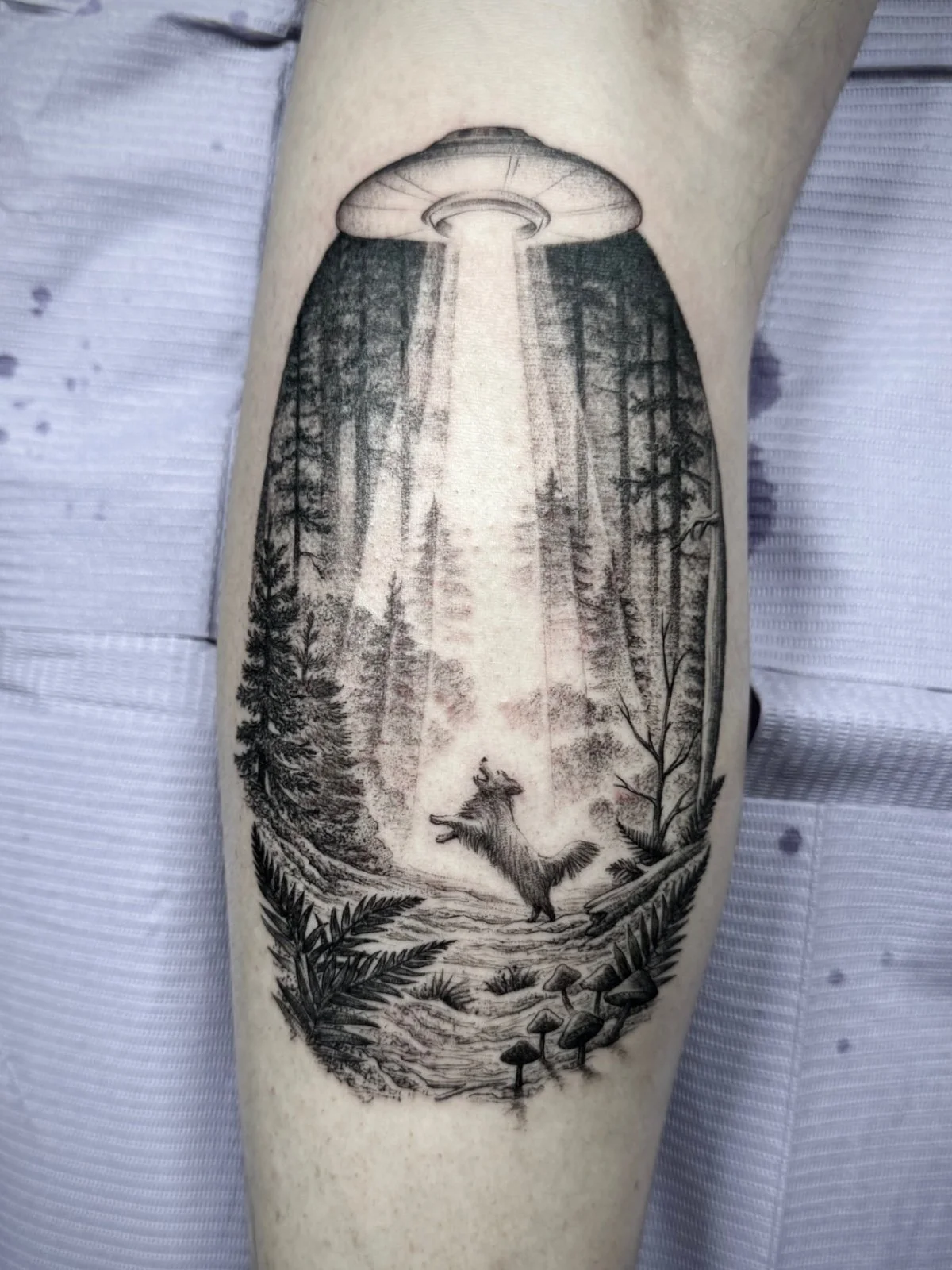 fine-line-black-grey-dog-UFO-PNW-tattoo-seattle.jpg