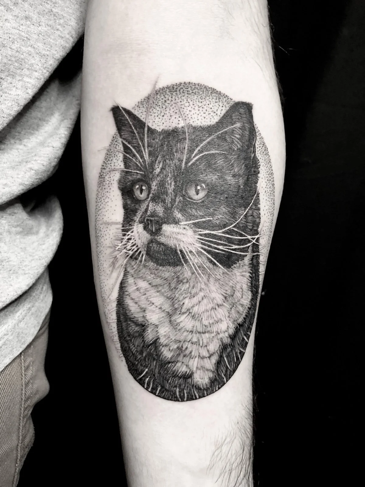 Fine line and black and grey pet portrait tattoo of a tuxedo cat set within an oval frame, created by Seattle tattoo artist Eli Bischof.