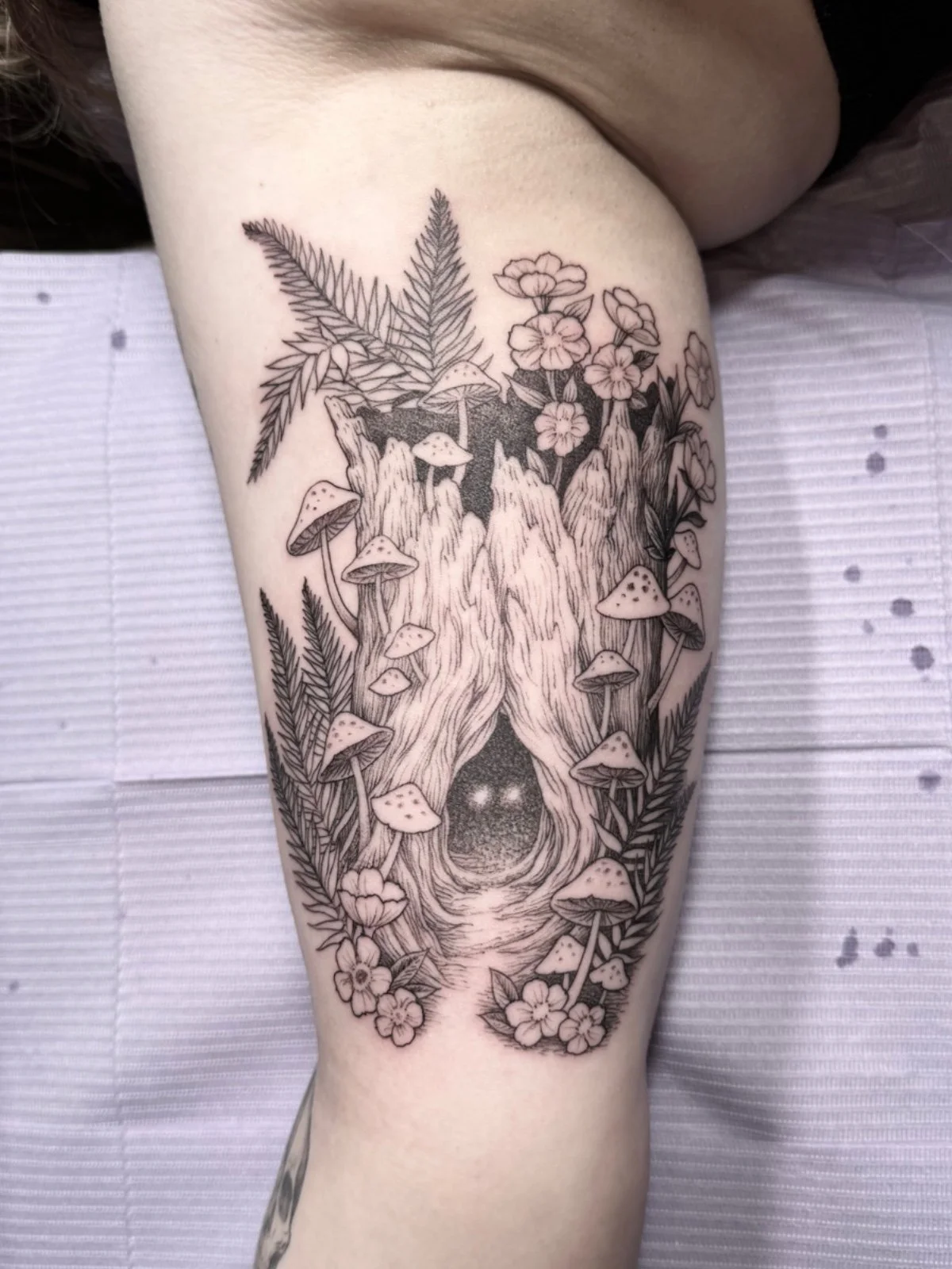A freehand illustrative fine line tattoo of a nurse stump with mushrooms and ferns growing out of it, with a pair of eyes peering out from within, created by Seattle tattoo artist Eli Bischof.