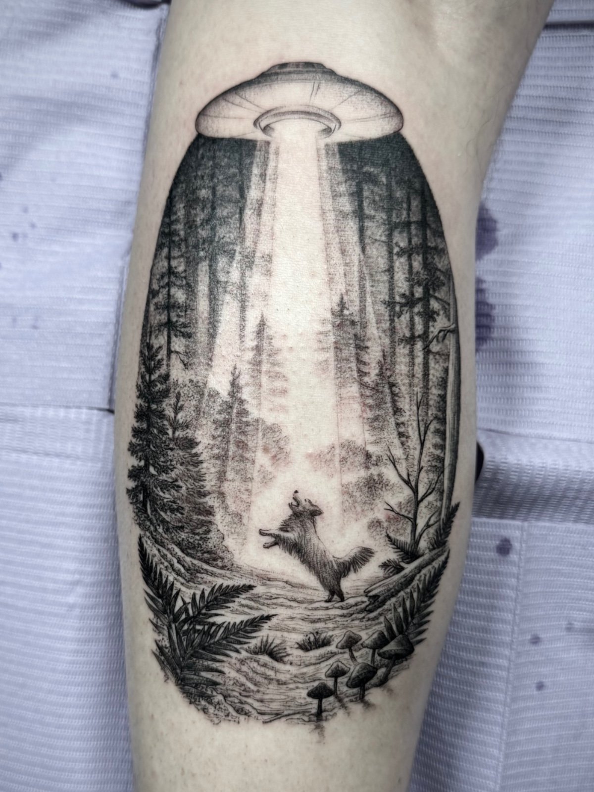 PNW-UFO-tattoo.JPG