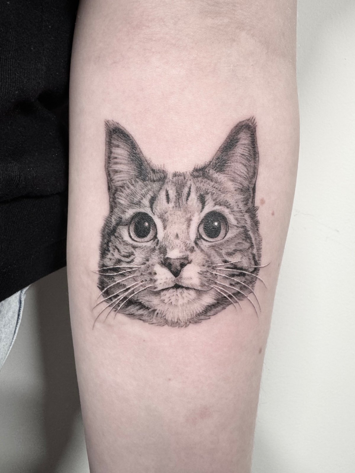 Fine line and black and grey pet portrait tattoo of a cat with wide eyes, created by Seattle tattoo artist Eli Bischof.