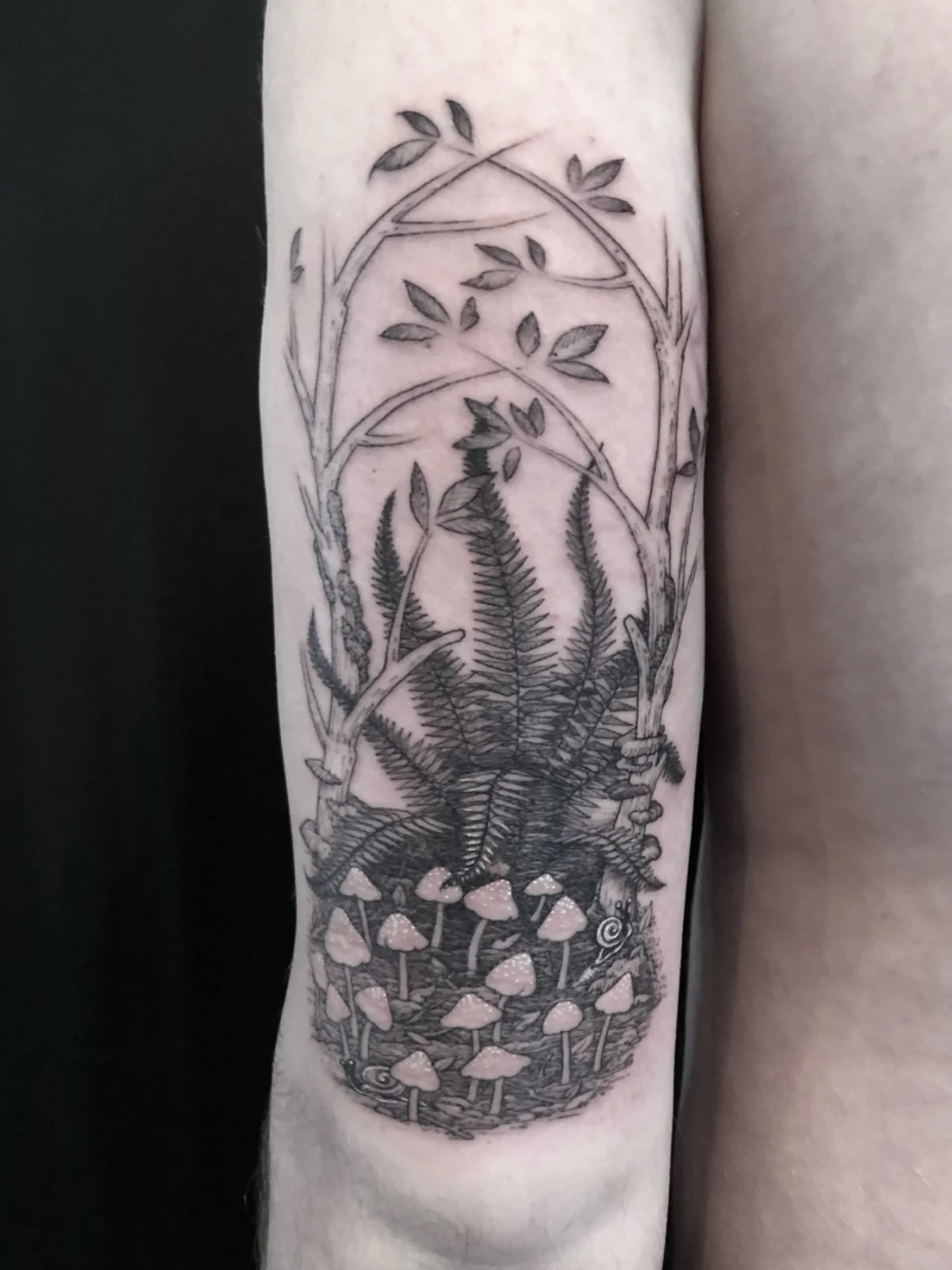 Fine line black and grey tricep tattoo of ferns, mushrooms, and saplings, created by Seattle tattoo artist Eli Bischof
