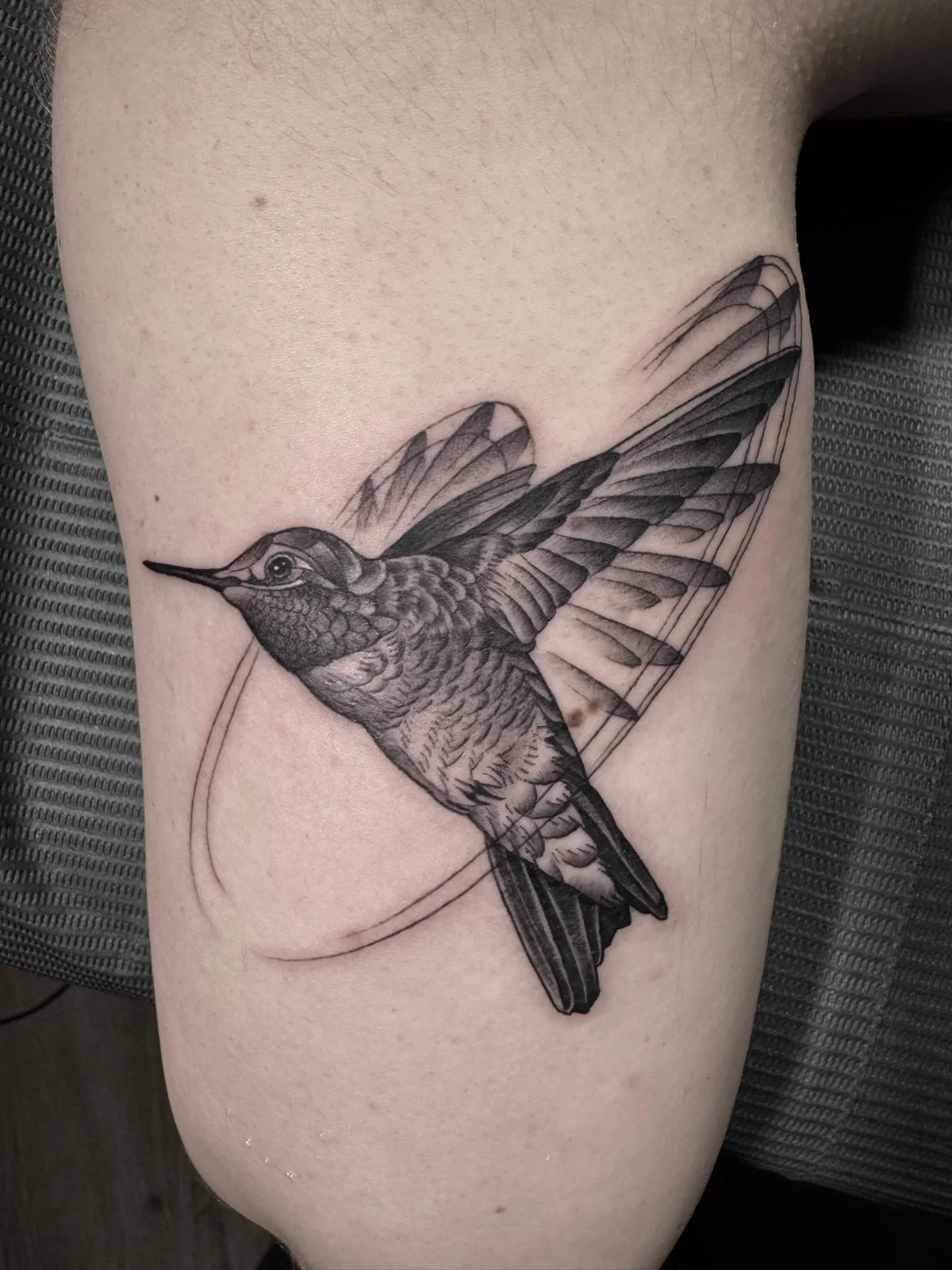 A fine line black and grey tattoo of an Anna's hummingbird, designed to show the motion of its wings, created by Seattle tattoo artist Eli Bischof.