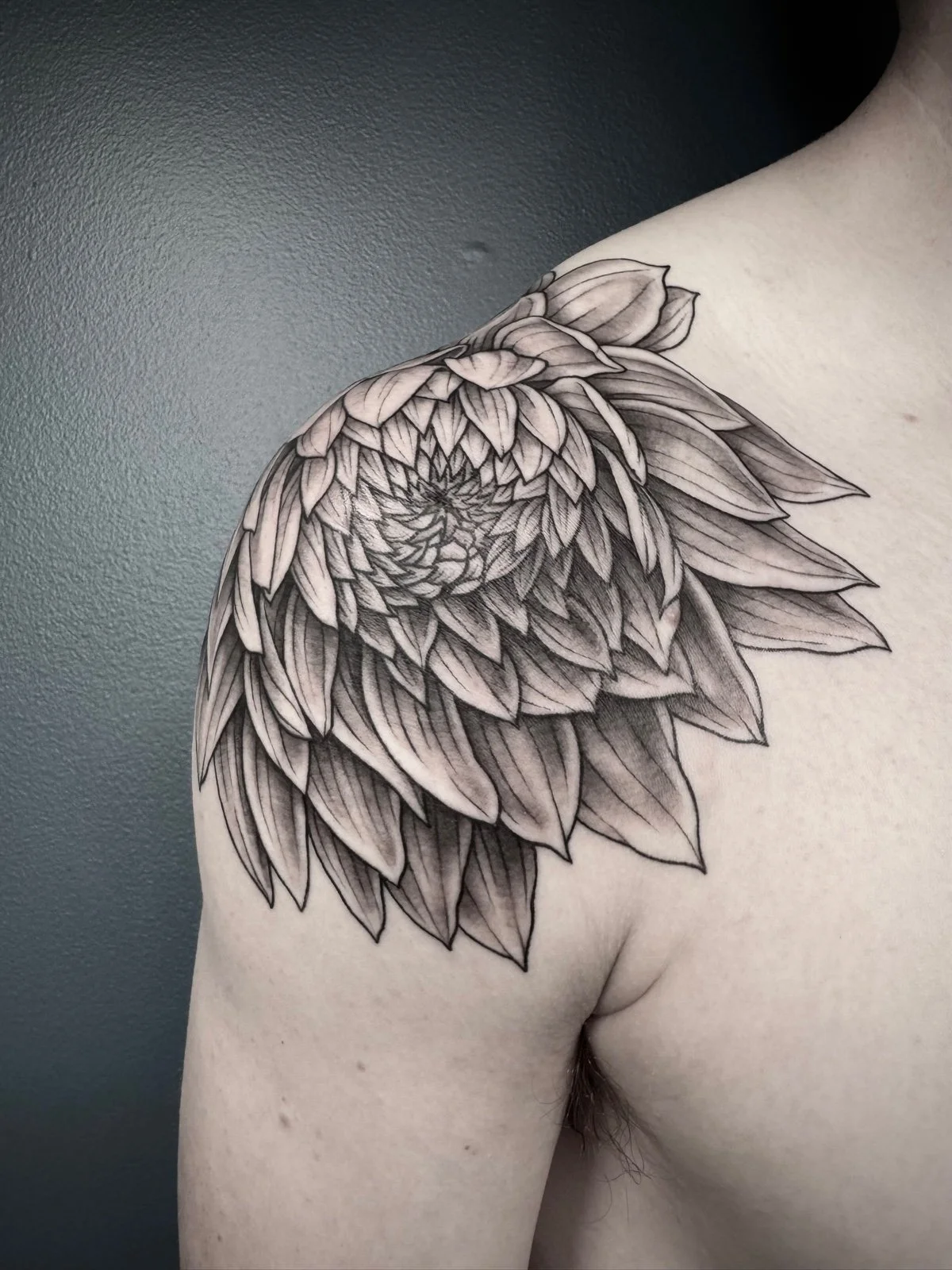 Fine line black and grey shoulder tattoo of a informal decorative dahlia flower, created by Seattle tattoo artist Eli Bischof