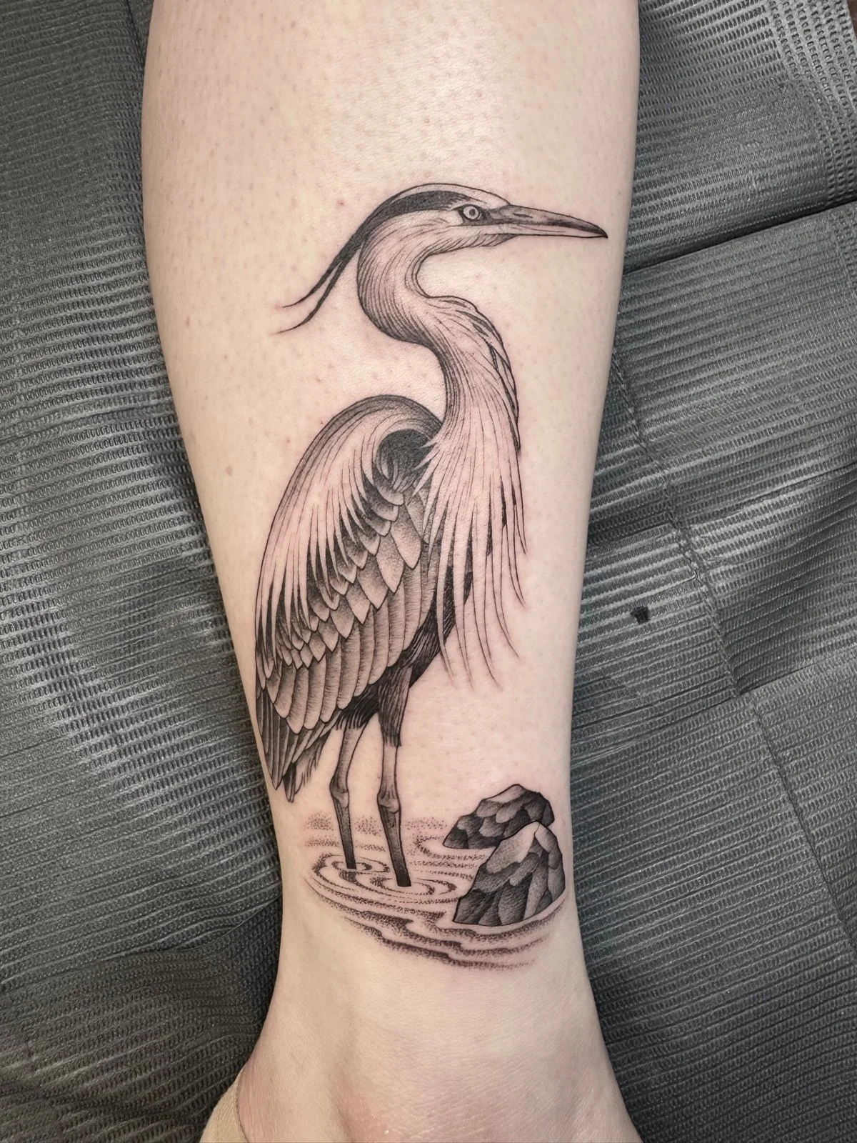 A fine line black and grey tattoo of a Great Blue Heron wading in water, created by Seattle tattoo artist Eli Bischof.