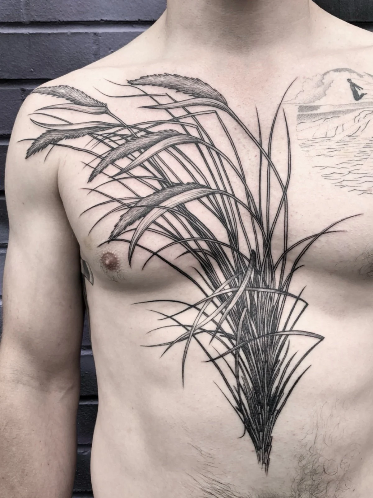 A large fine line black and grey tattoo of beach grass flowing across the chest and torso, created by Seattle tattoo artist Eli Bischof