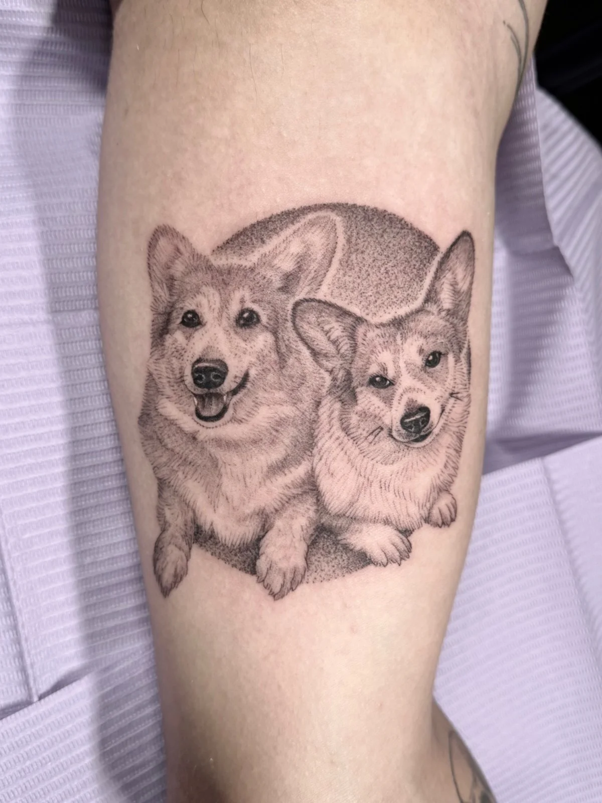 Fine line and black and grey pet portrait tattoo of two corgis, set within a circular frame, created by Seattle tattoo artist Eli Bischof.