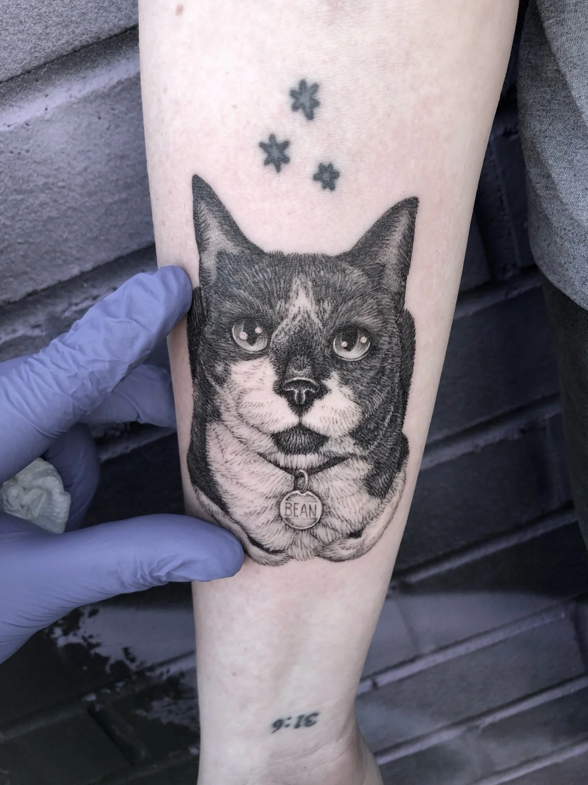 Close up detail photo of a fine line and black and grey pet portrait tattoo of a tuxedo cat with its paws folded under it, created by Seattle tattoo artist Eli Bischof.