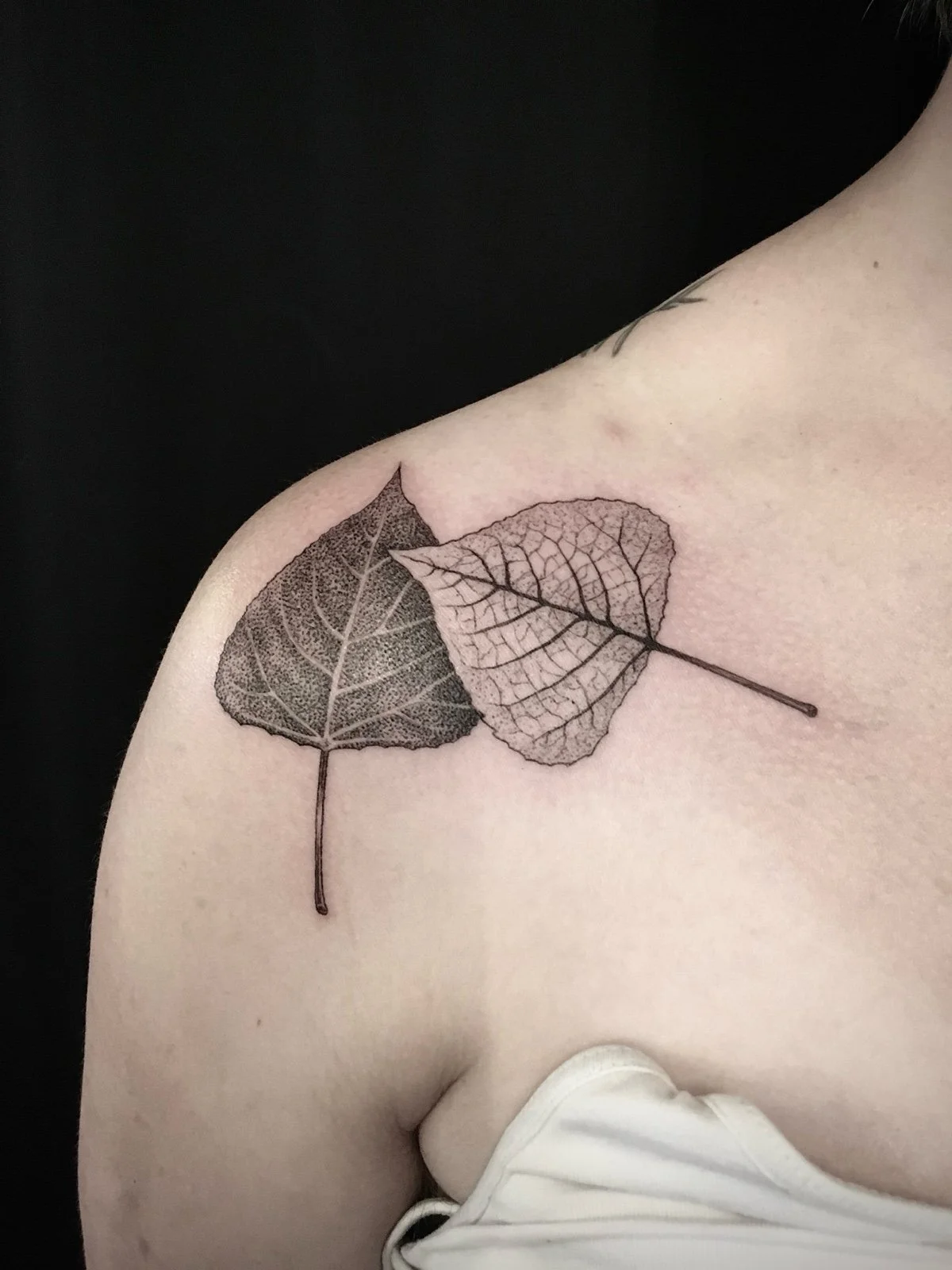 Fine line black and grey shoulder tattoo of leaves with delicate stipple shading, created by Seattle tattoo artist Eli Bischof