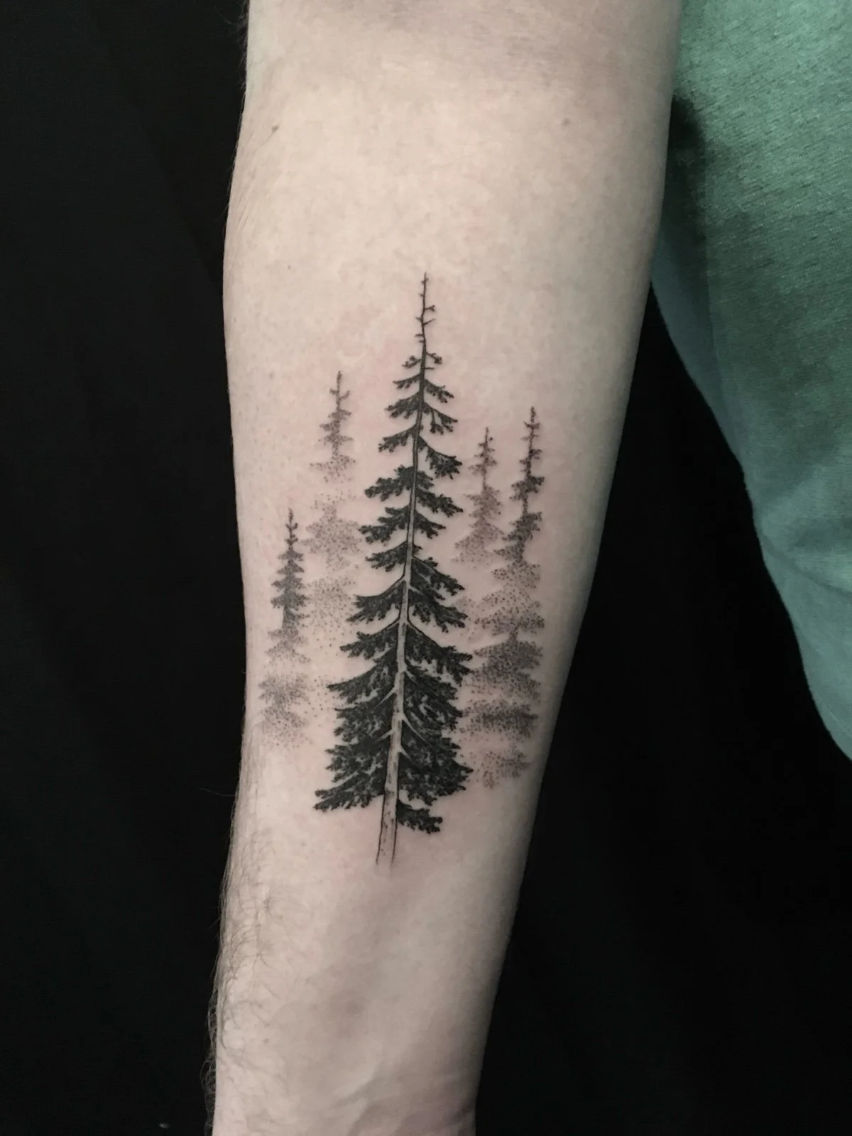 A fine line black and grey tattoo of misty pine trees, created by Seattle tattoo artist Eli Bischof.