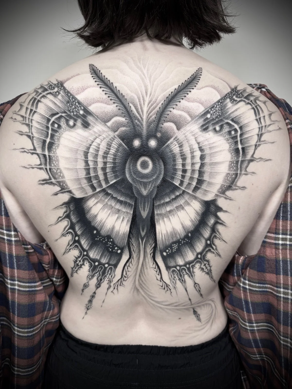 black-and-grey-moth-backpiece-tattoo.JPG
