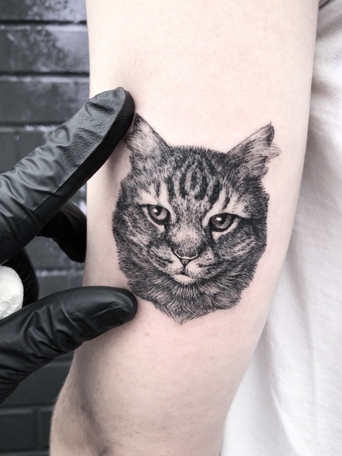 Fine line and black and grey pet portrait tattoo of a tabby cat, created by Seattle tattoo artist Eli Bischof.