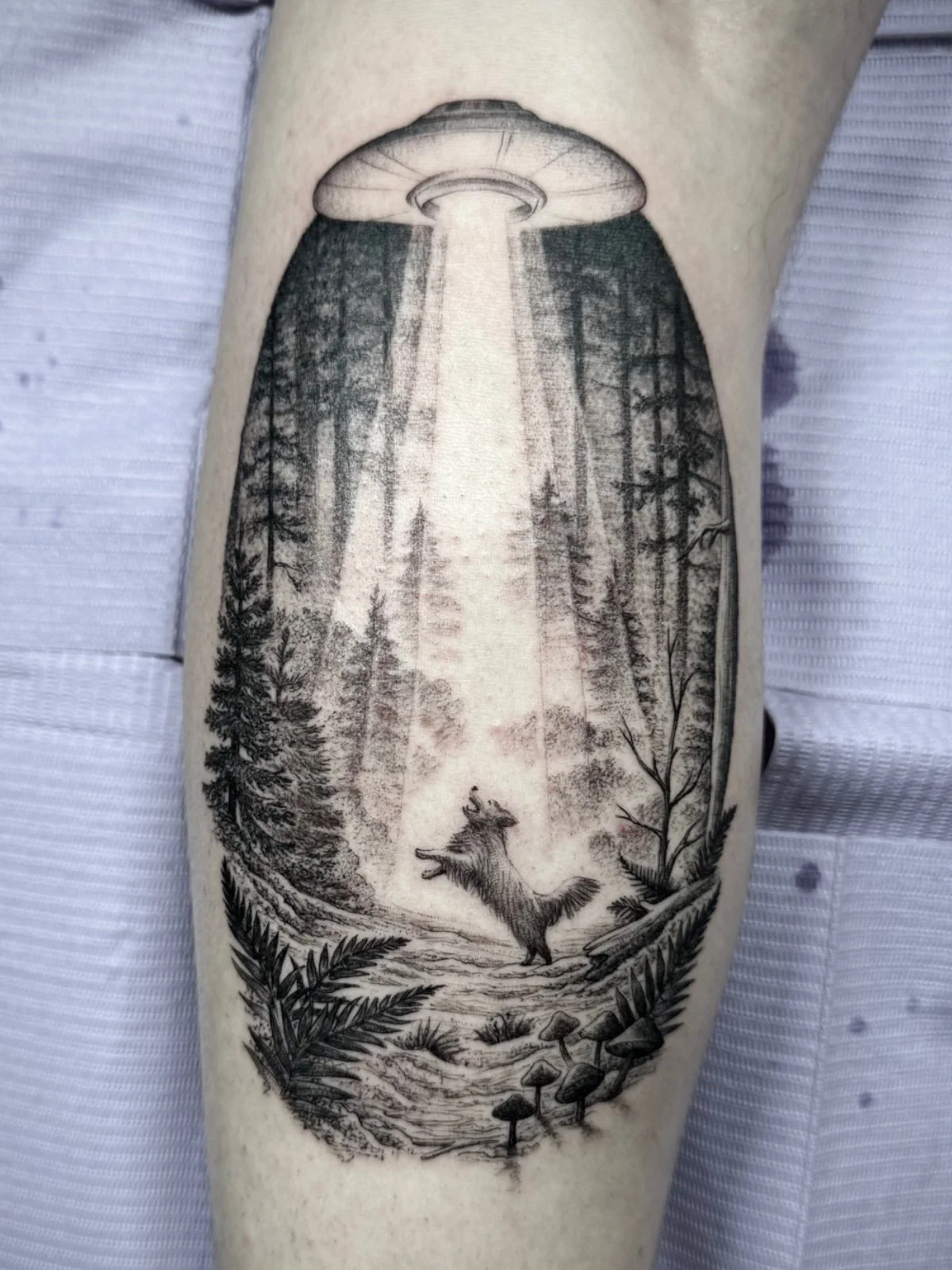 Storytelling & Imaginative Tattoos