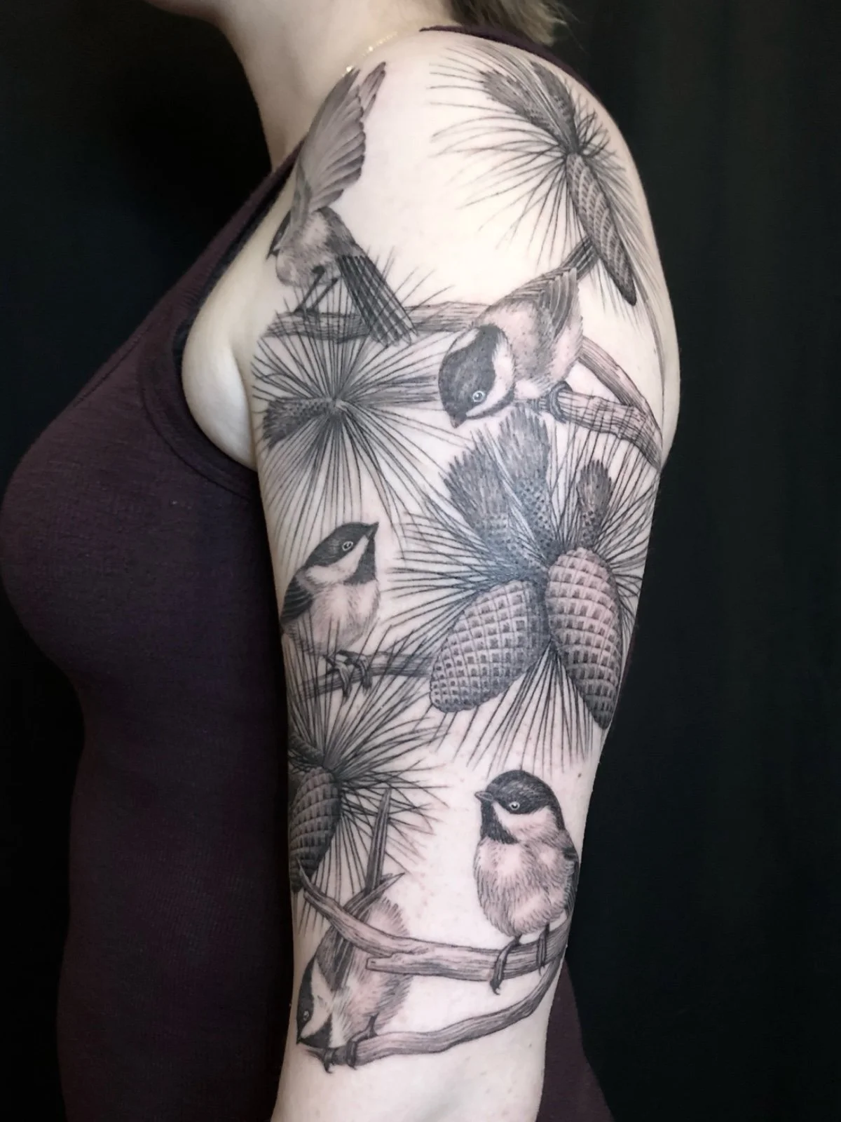 A fine line black and grey half sleeve tattoo of black capped chickadees perched on ponderosa pine branches, created by Seattle tattoo artist Eli Bischof.