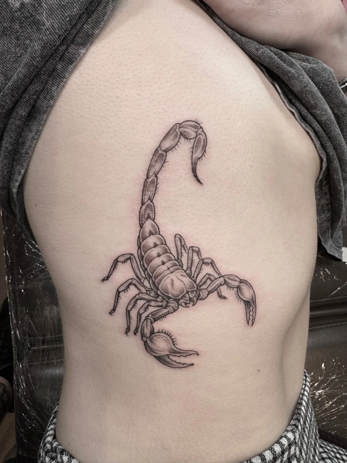 A fine line black and grey tattoo of a scorpion with tail arched on ribs, created by Seattle tattoo artist Eli Bischof.