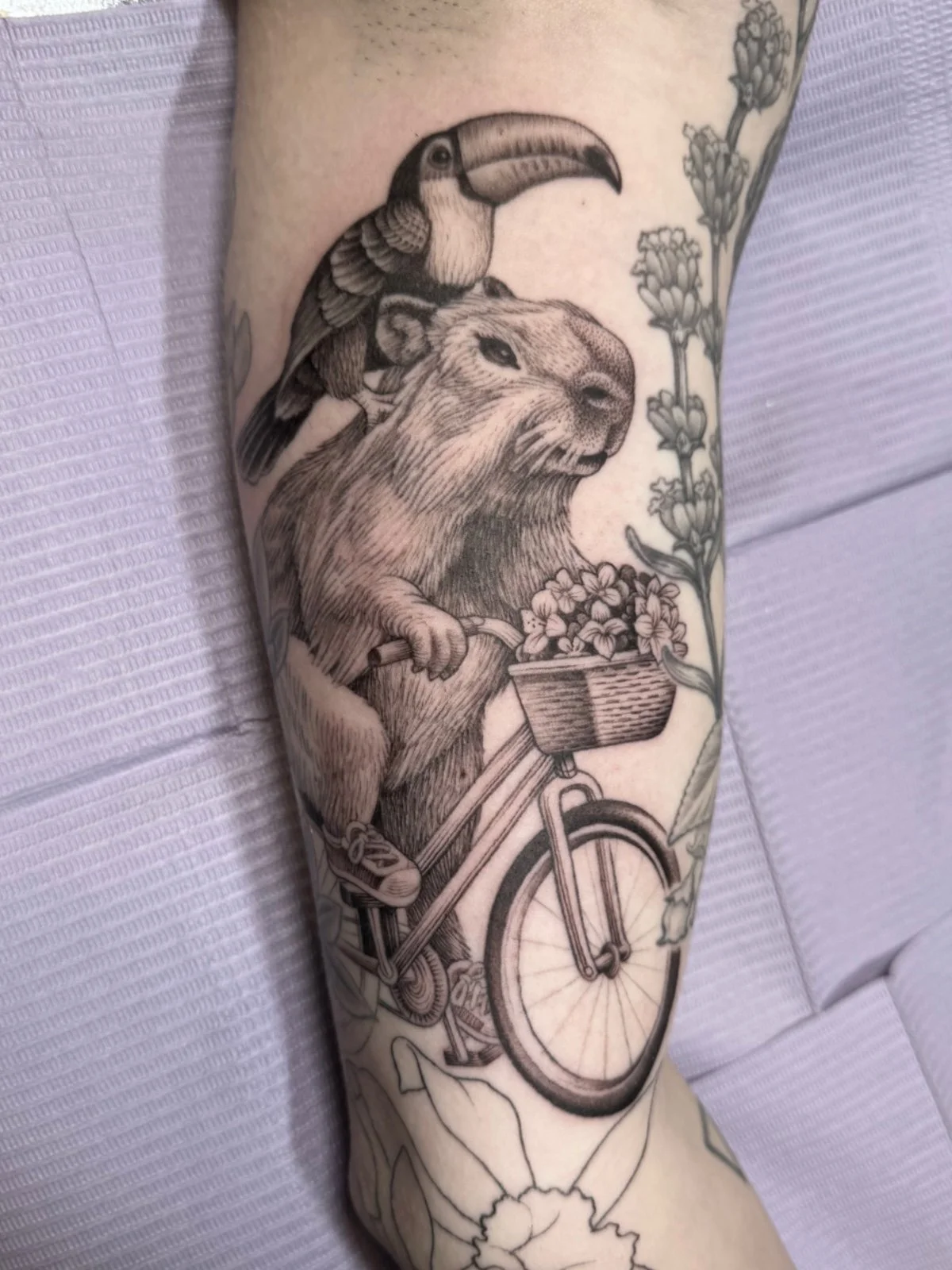 A fine line whimsical tattoo of a capybara riding a bicycle with a flower basket and a toucan riding on its shoulders, created by Seattle tattoo artist Eli Bischof.