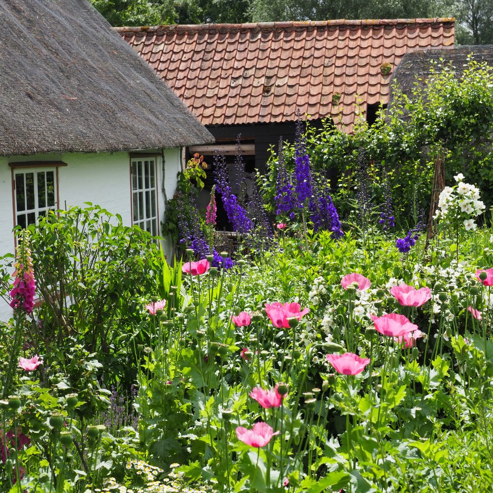 Traditional English Cottage Garden