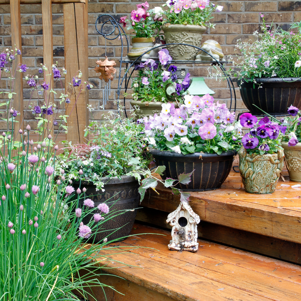 Small Space Gardening on a Deck