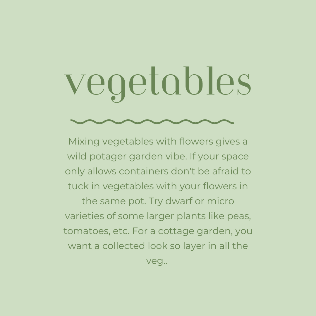 How to grow a cottage garden_ vegetables 2.png