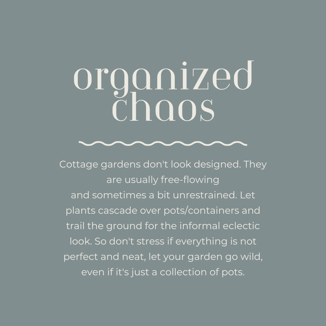 How to grow a cottage garden_ organized chaos 2.png
