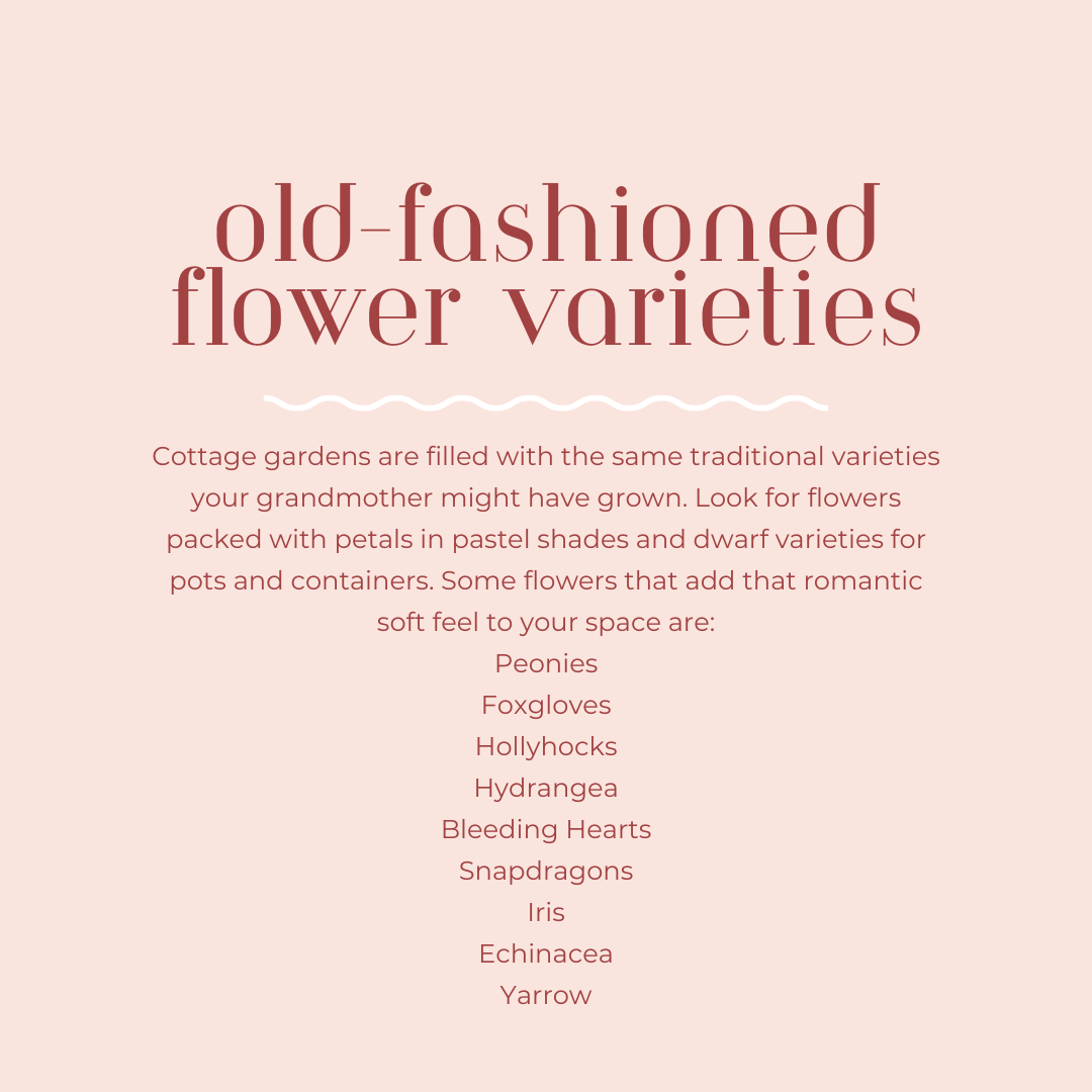 How to grow a cottage garden_ old-fashioned flower varieties 2.png