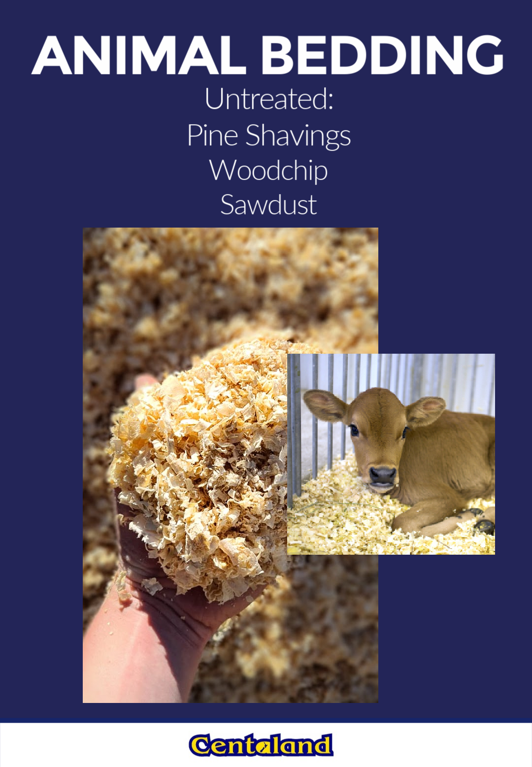 Bedding — Centaland