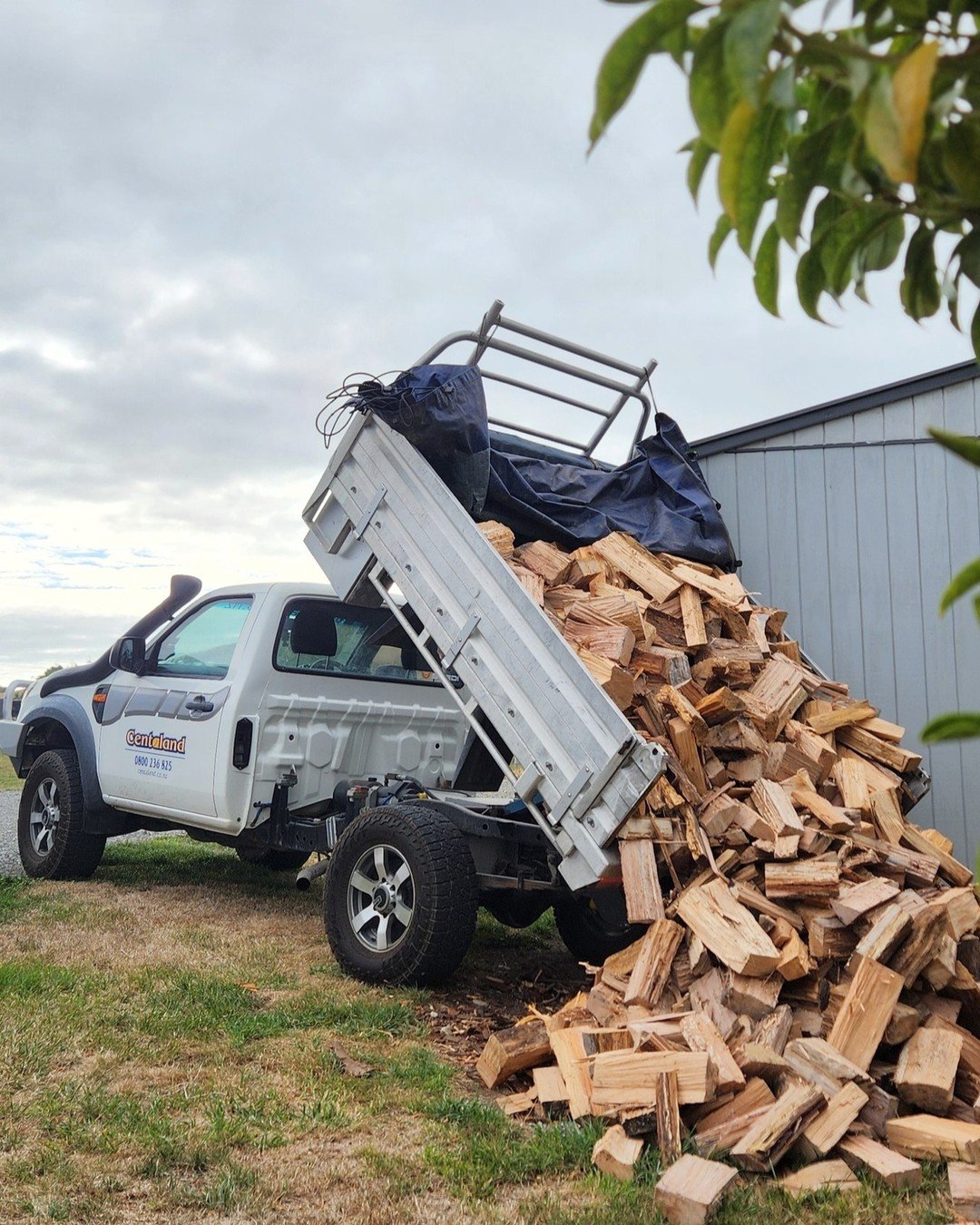 Another load hits the dust... 🔥

Seasoned, dry and a full range of FIREWOOD still available from Old Man Pine to Macrocarpa to Blue Gum. Keep that fire stacked with great quality firewood that will burn all night long. 

Call us to get a delivered l