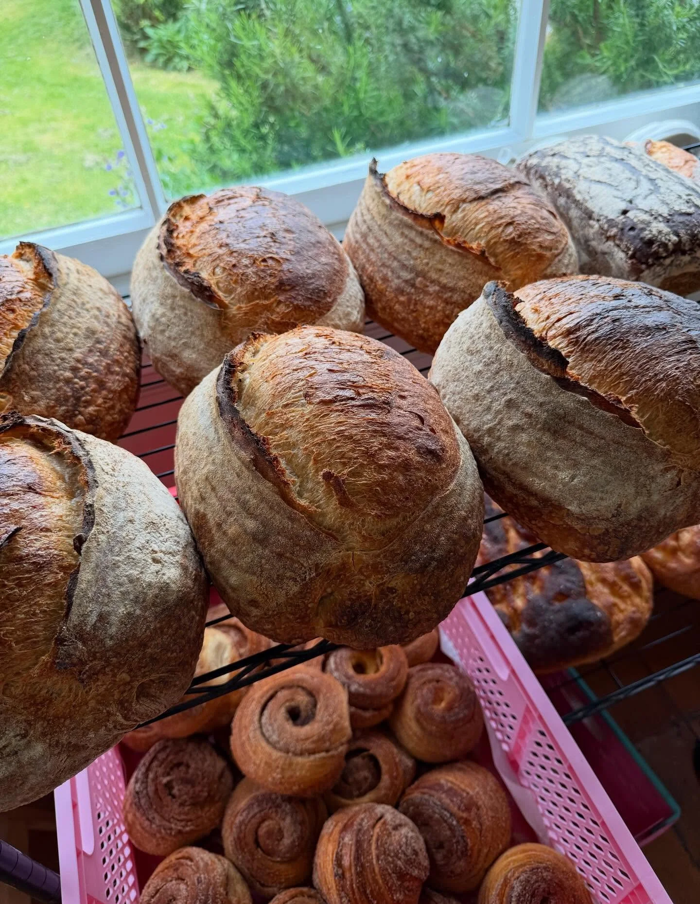@sisterwellington is back too! 

Selling her delicious sourdough loafs and morning buns. Get them before they are gone!