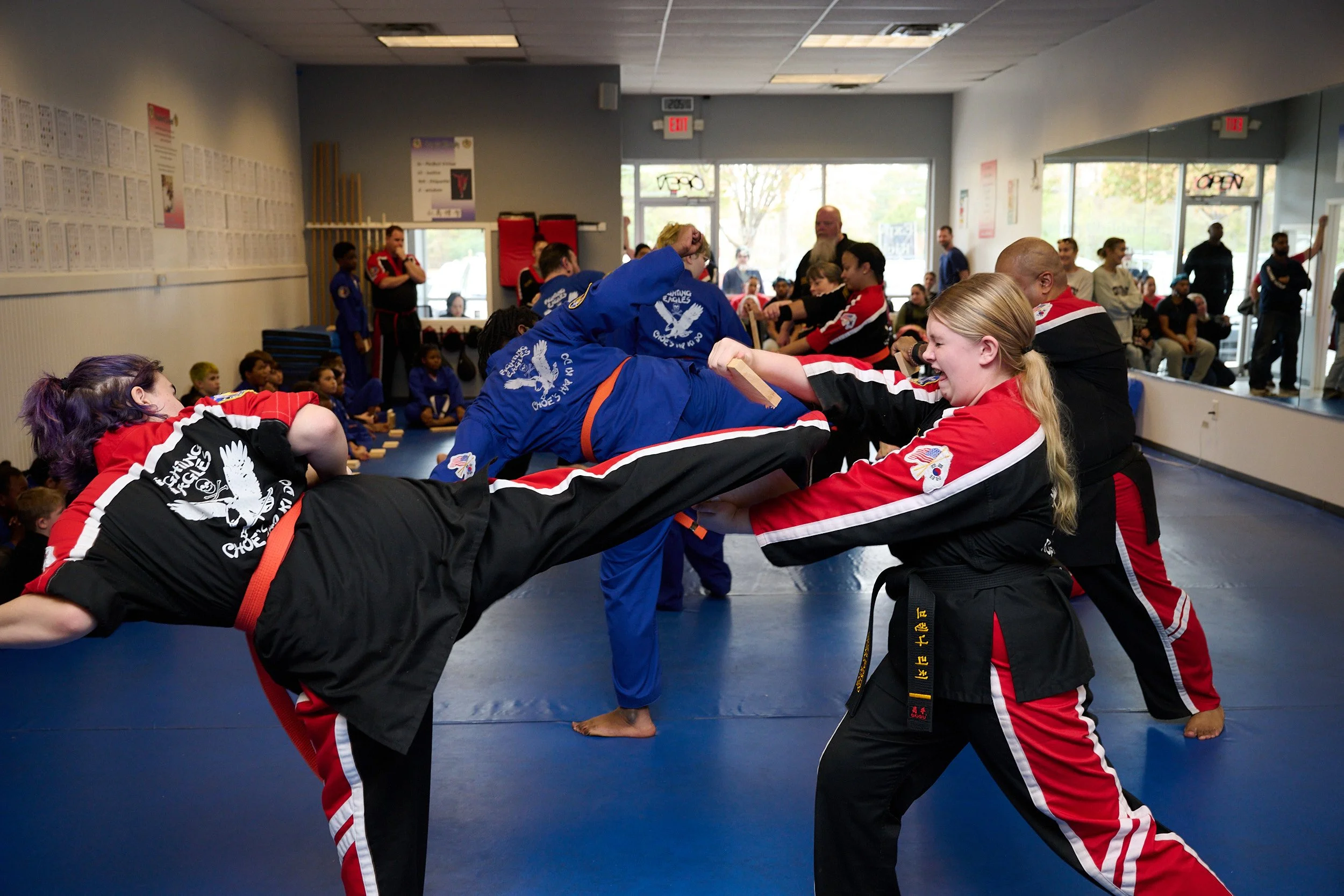 choes hapkido 1211.jpg