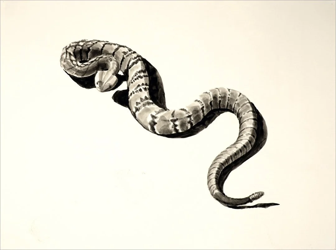 a large rattlesnake