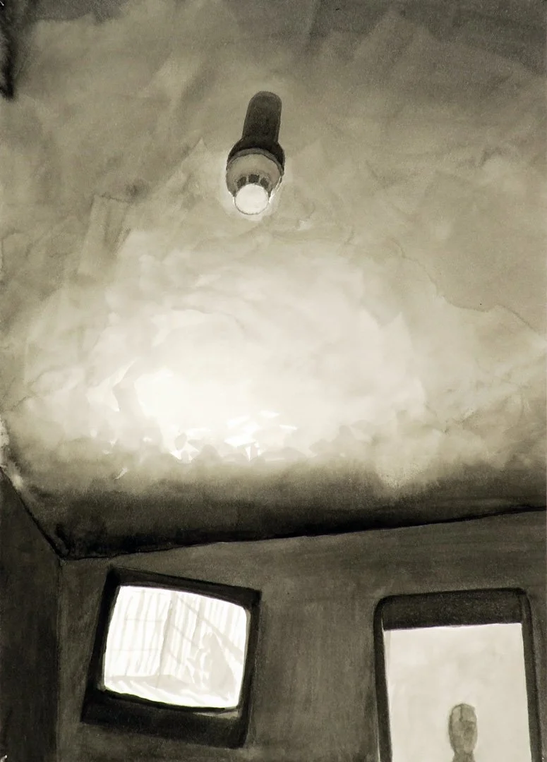 TV and mirror, Lewiston, ID