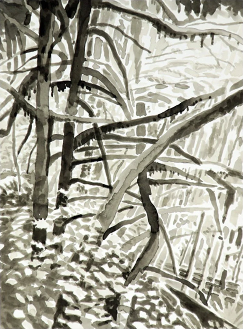 steep ravine, Goat Rocks Wilderness