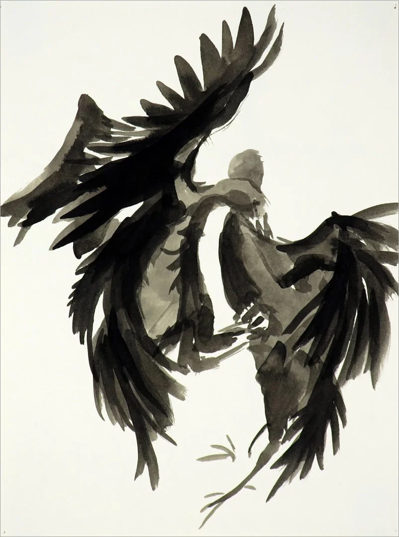 cockfight, Modesto