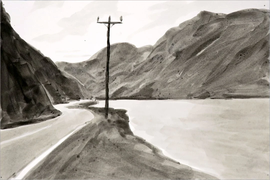 Driving along the Snake