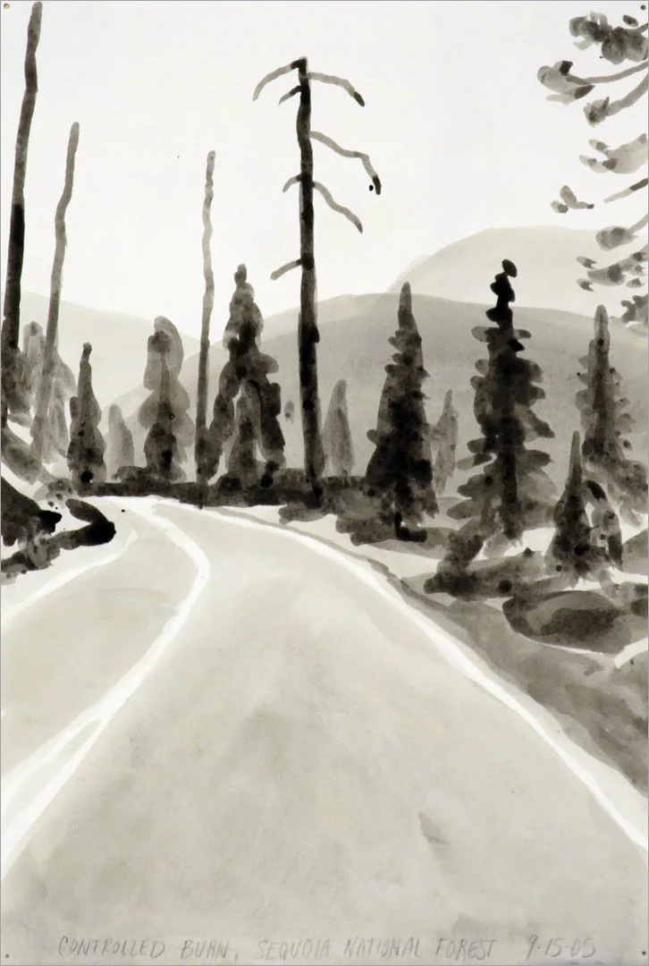 prescribed burn ahead, Sequoia