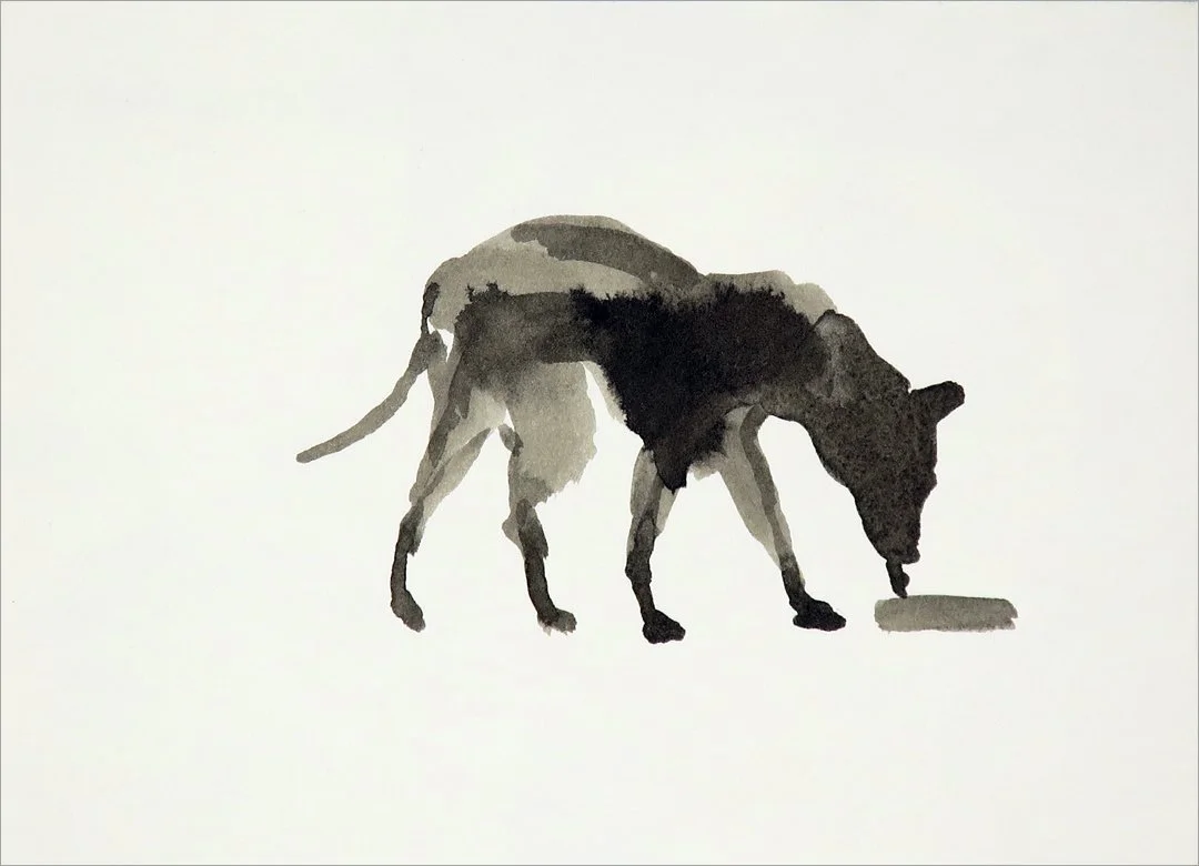 Bakersfield Dog